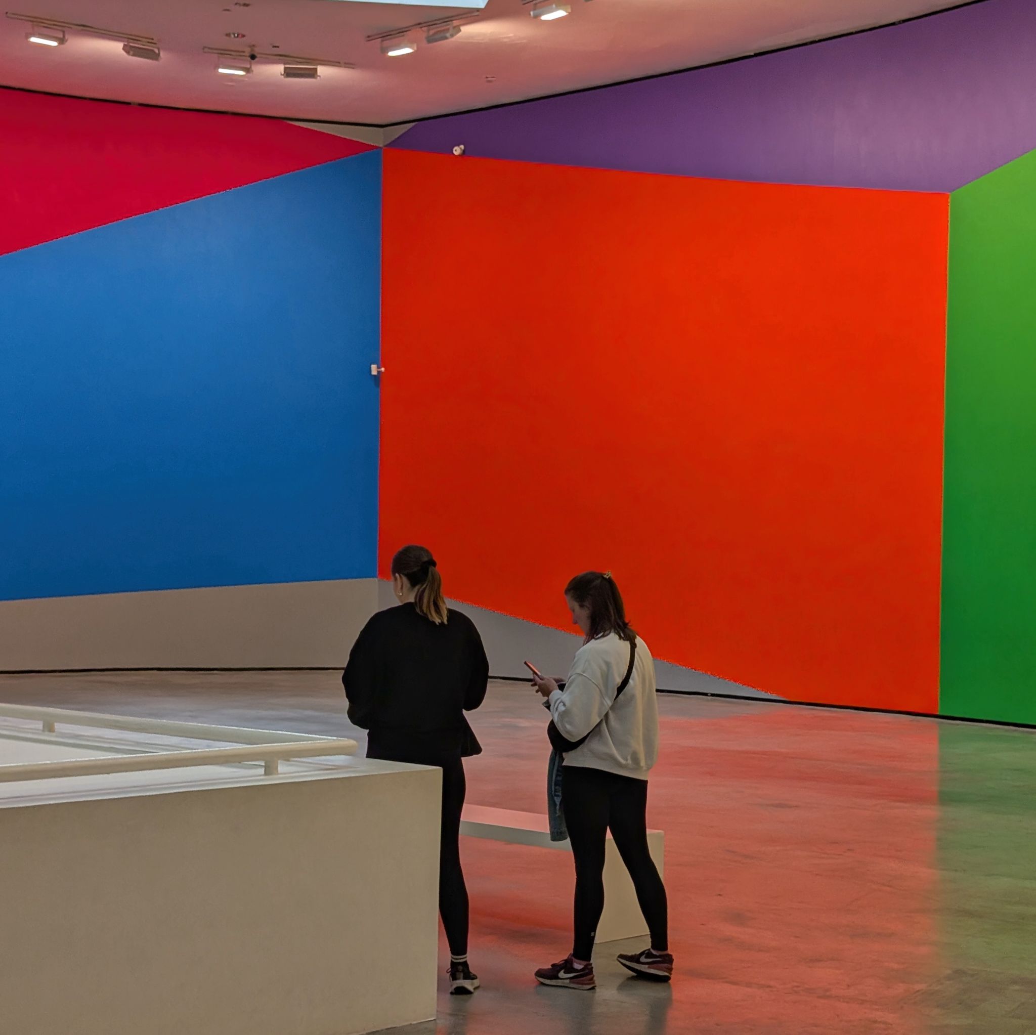 PXL 20250509 094627148