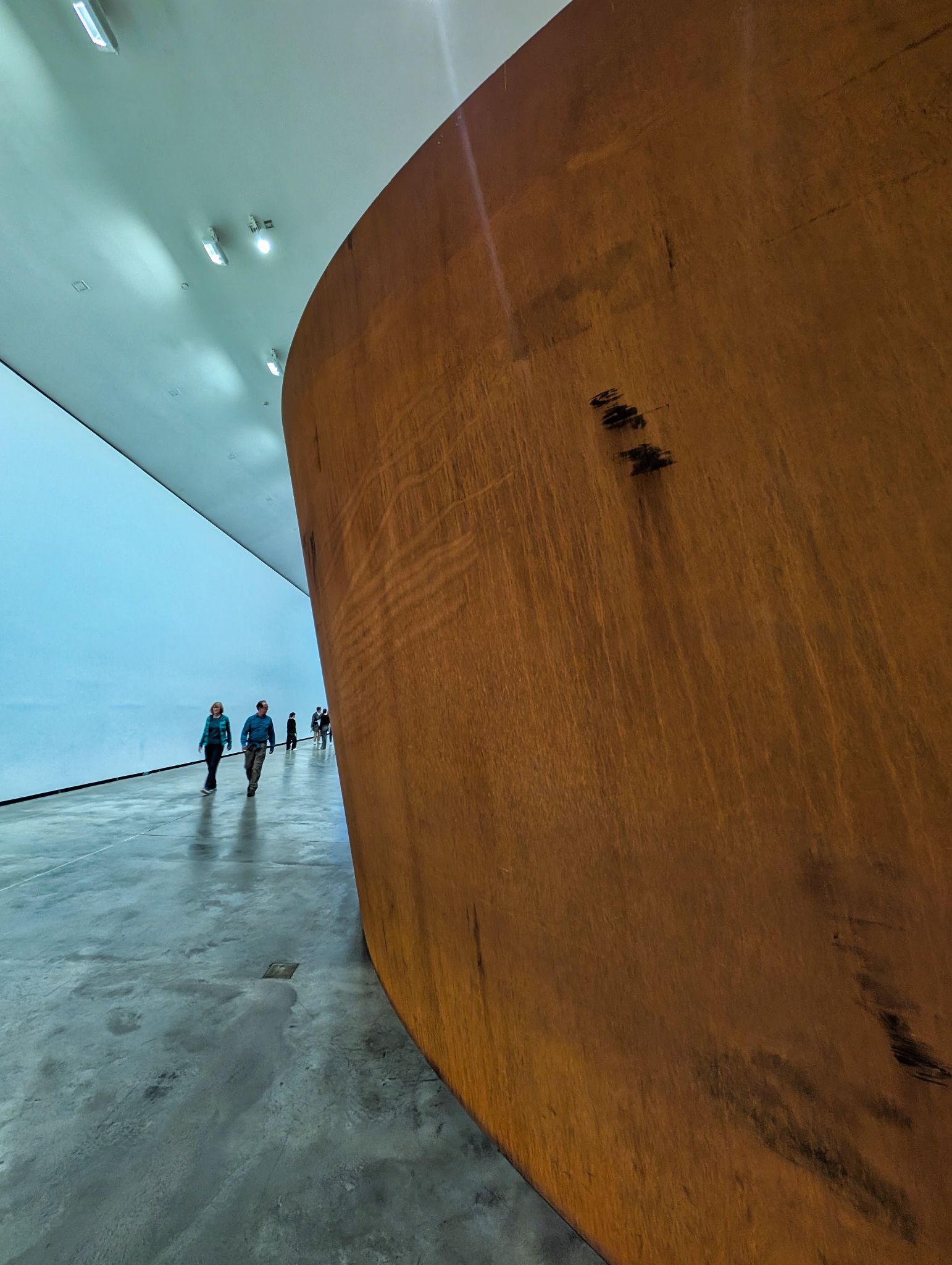 PXL 20250509 101609580