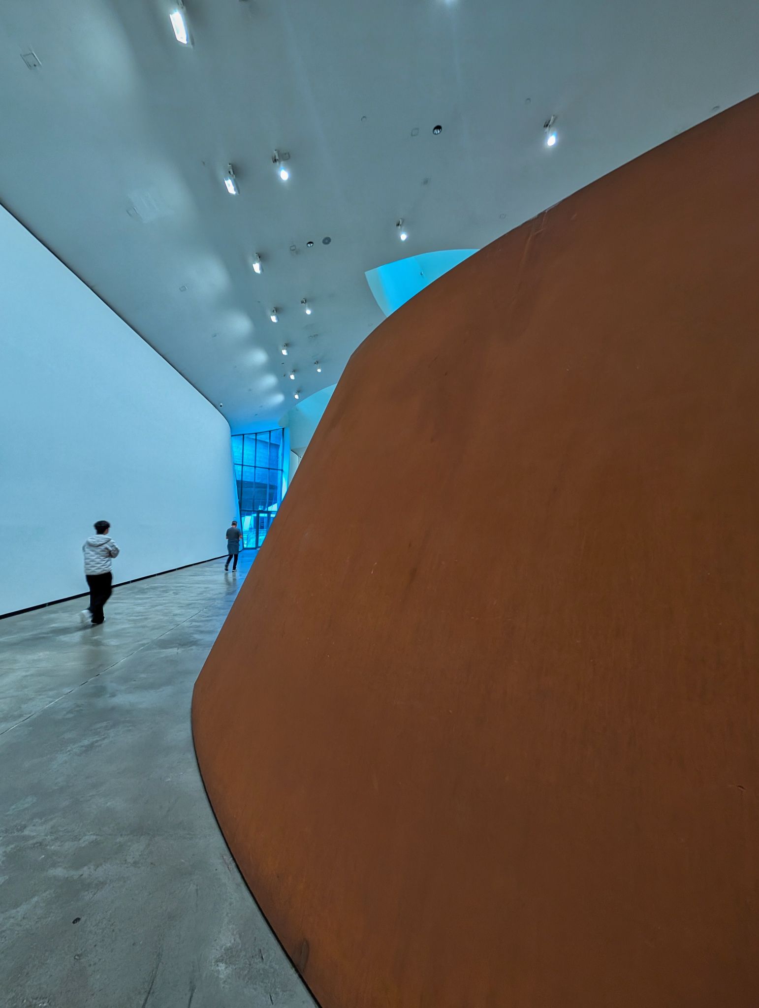 PXL 20250509 101634483