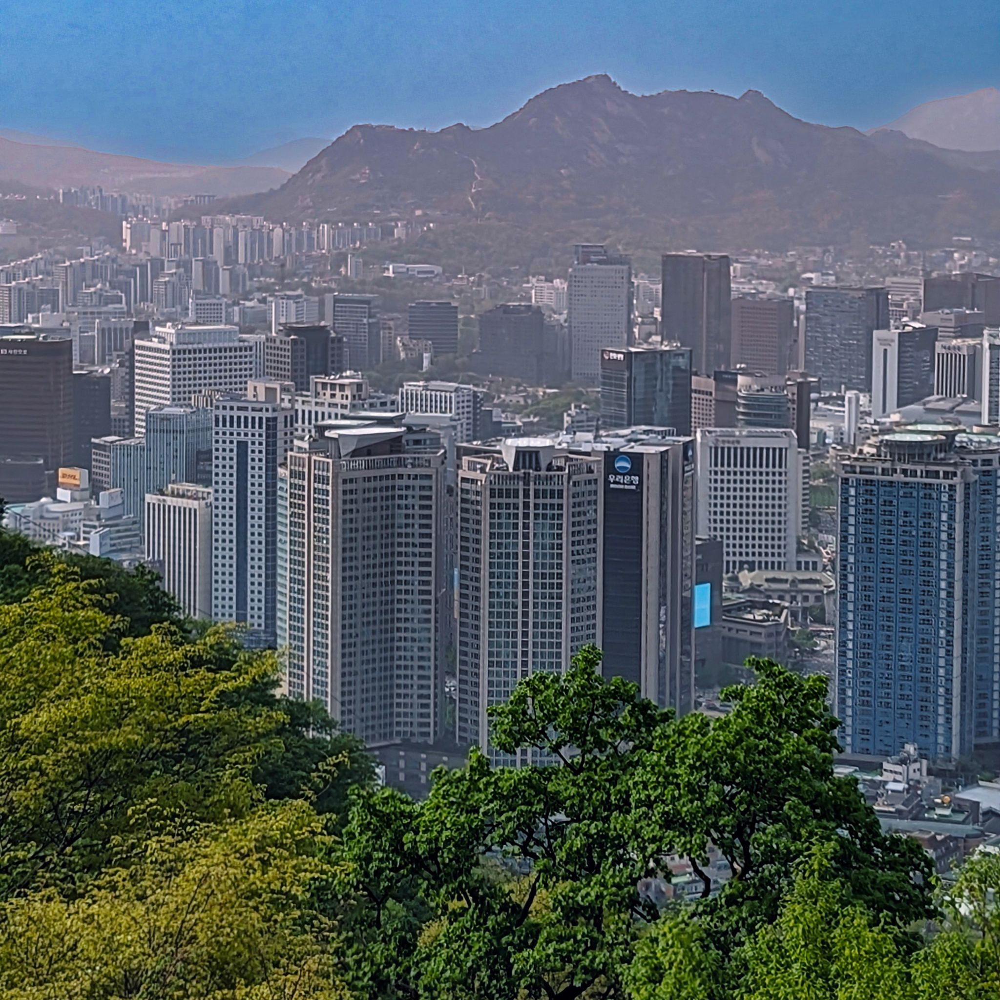 PXL 20240417 071905243.PORTRAIT.ORIGINAL~2