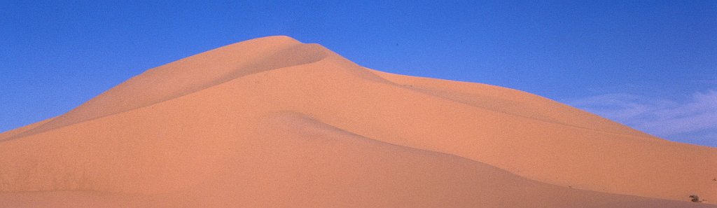 Sahara 16 1981