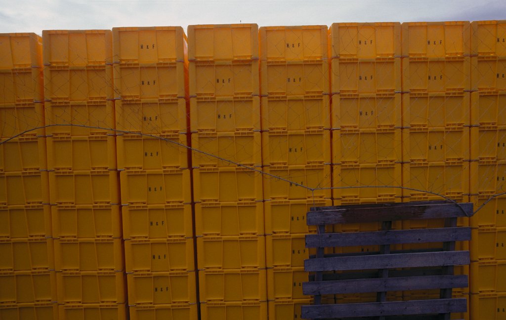 Scandinavia 7 1978.jpg 