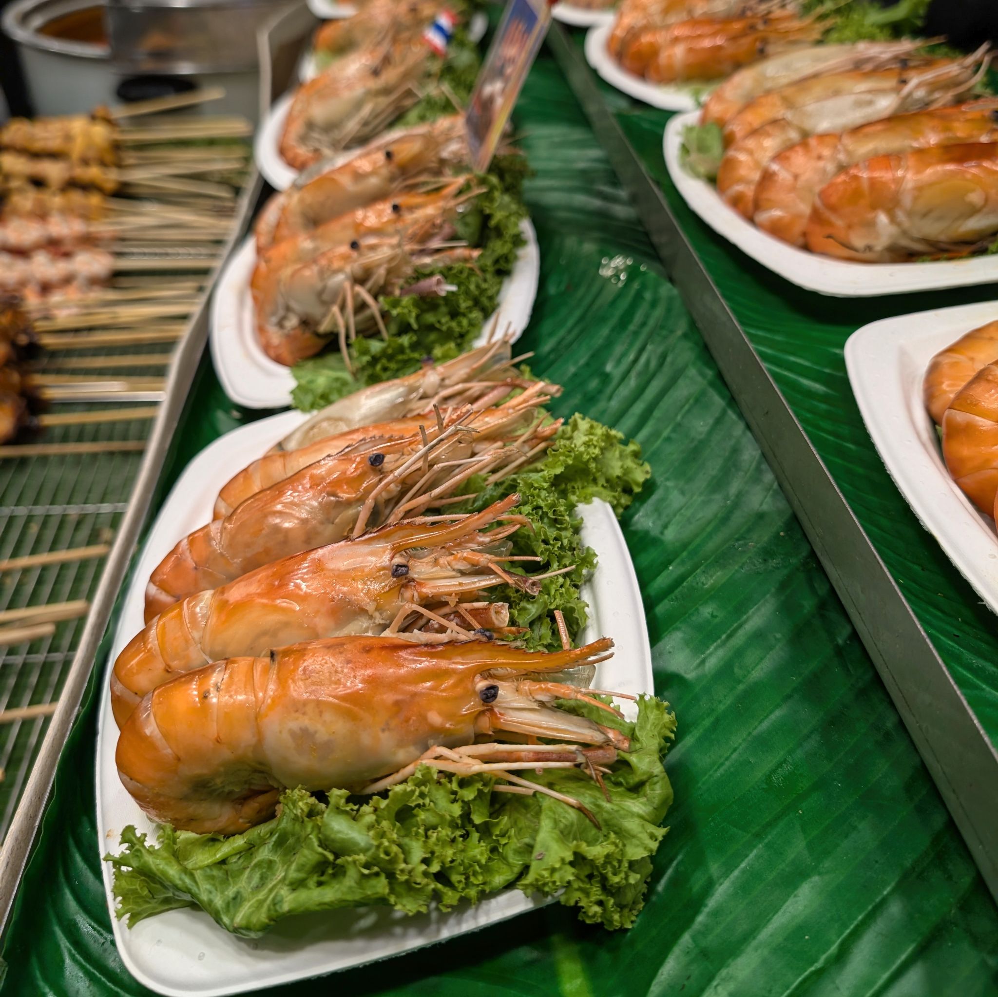 PXL 20250227 071017637