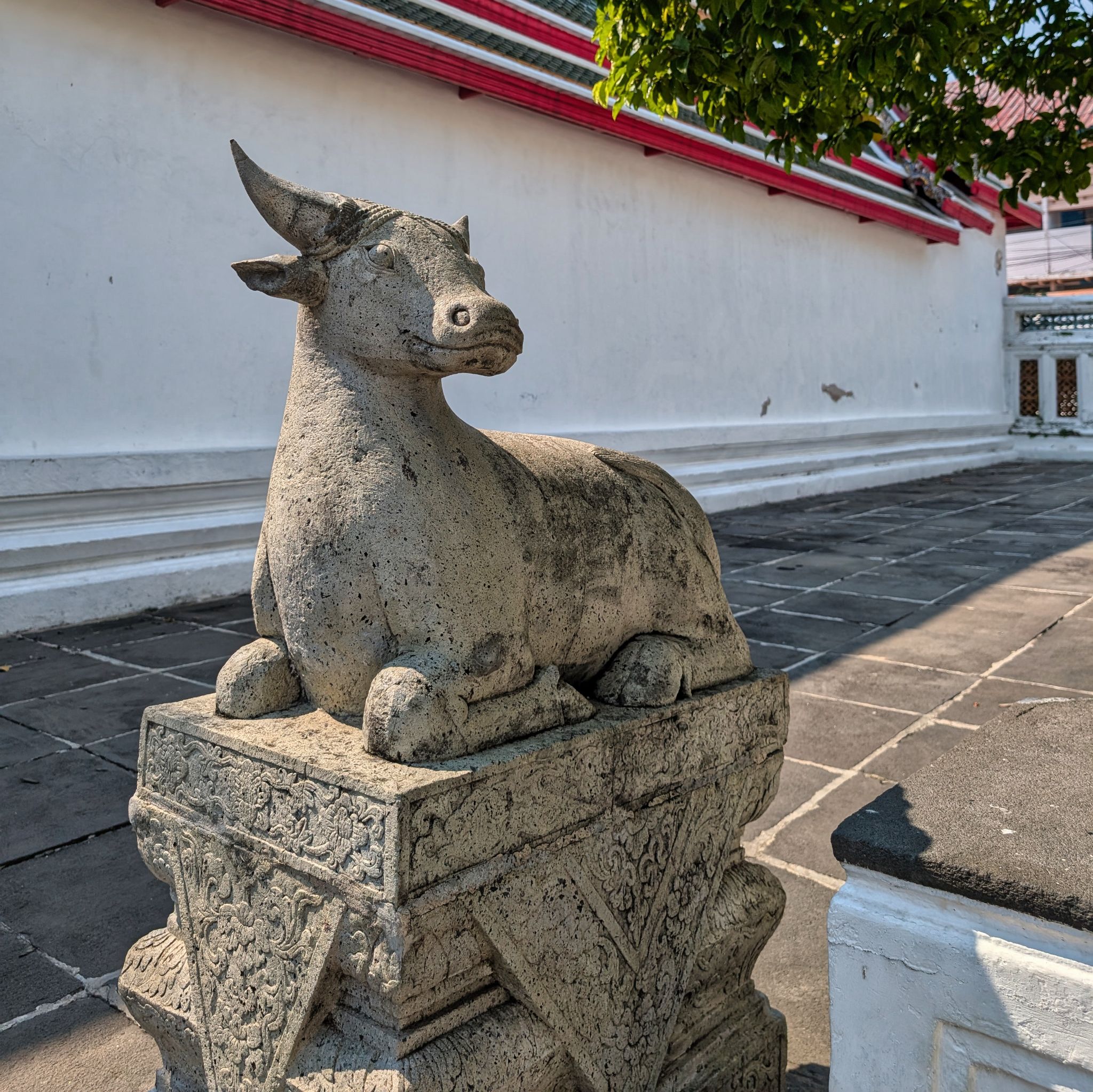 PXL 20250228 074330549.MP