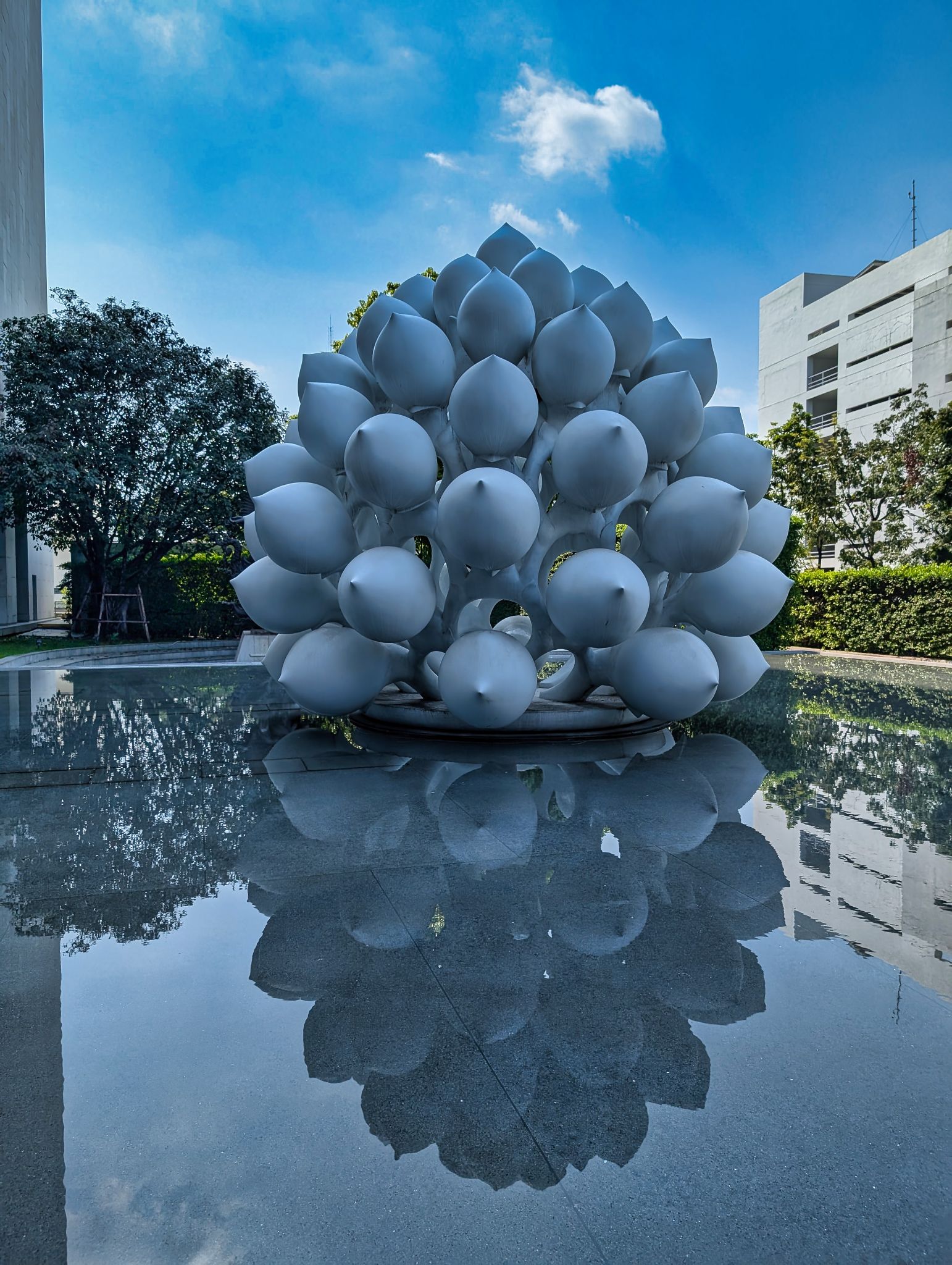 PXL 20250302 073105952.MP