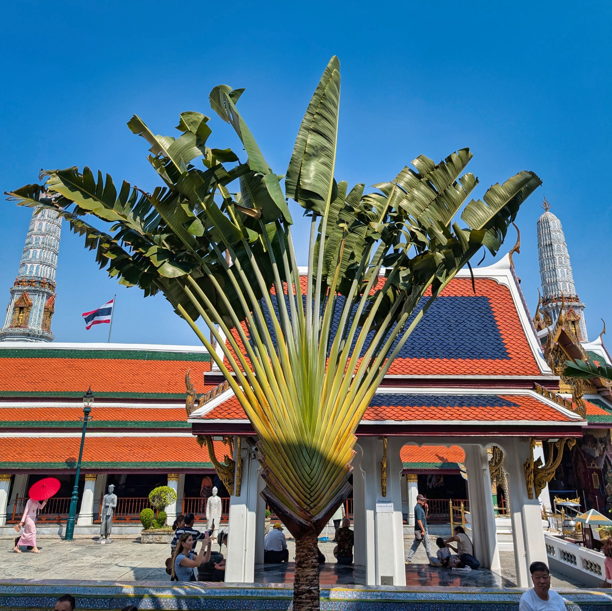 PXL 20250303 072127485