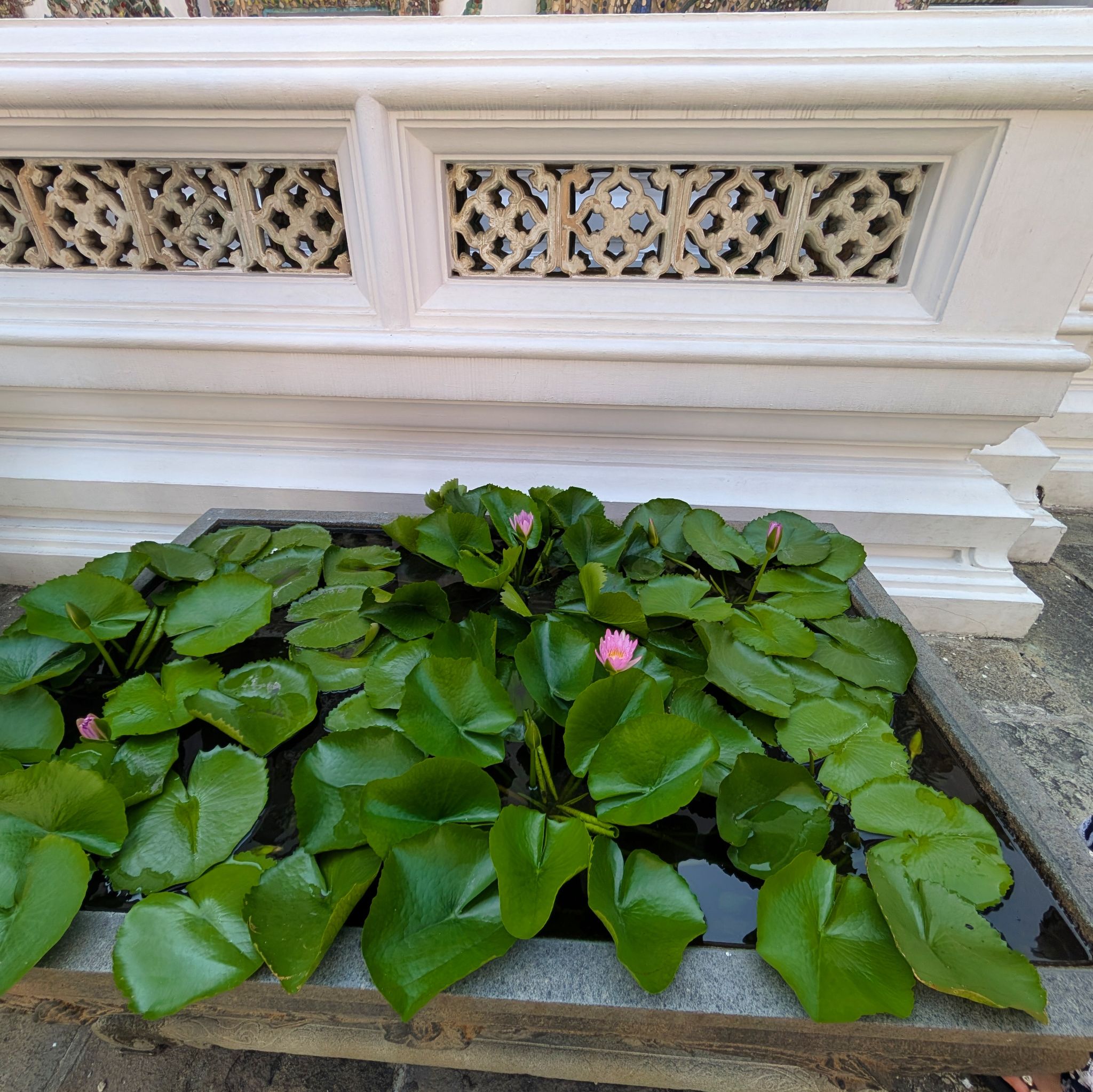 PXL 20250303 073323290