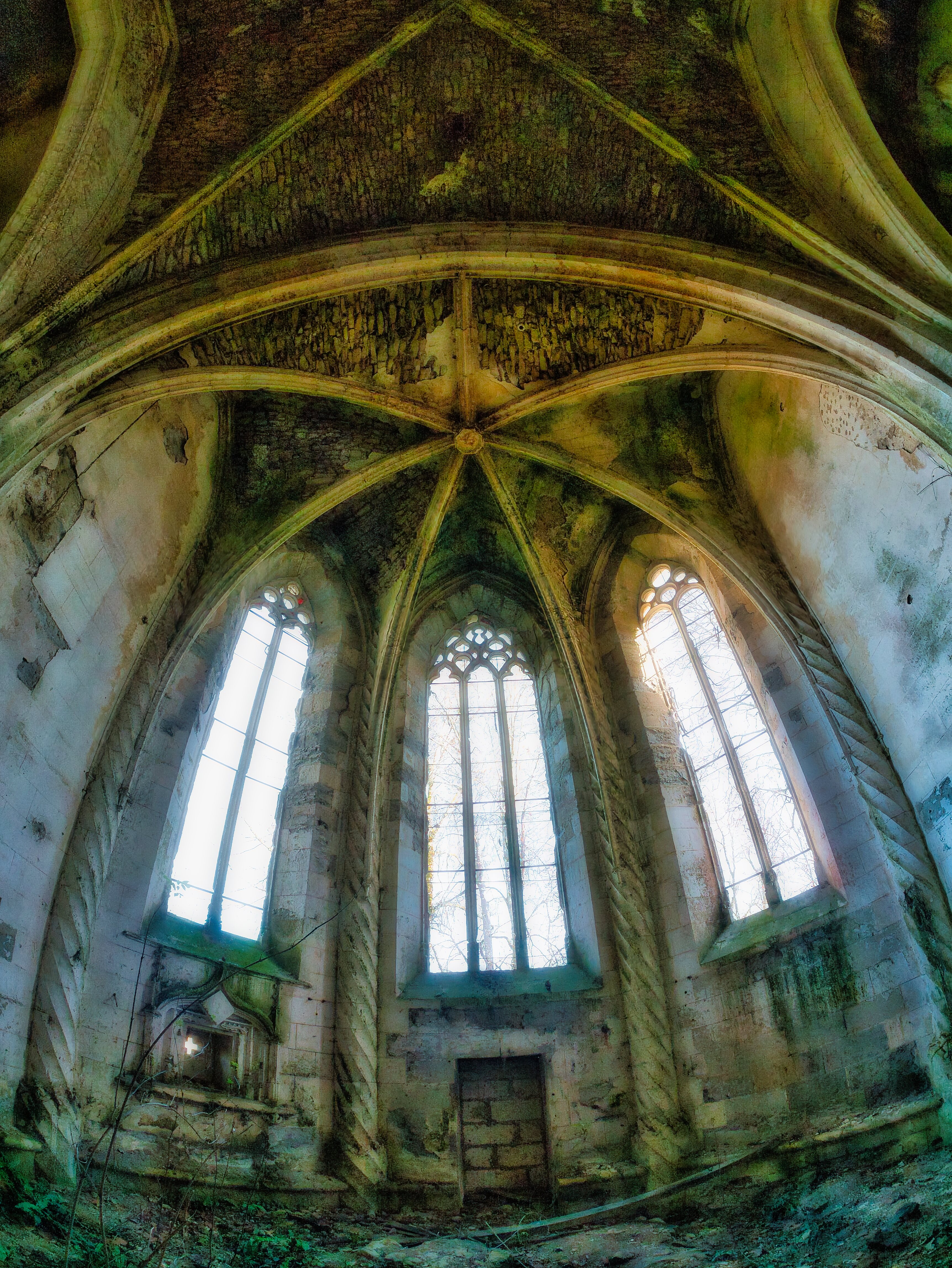 P11208481