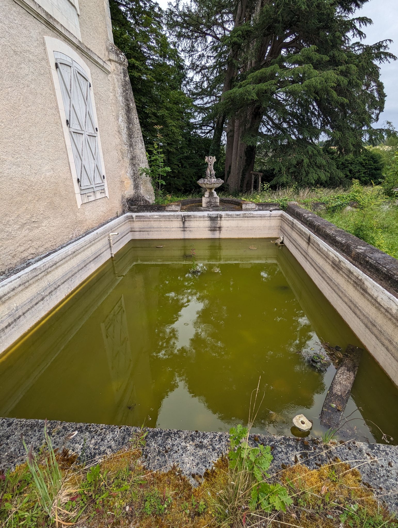 PXL 20240526 103410885