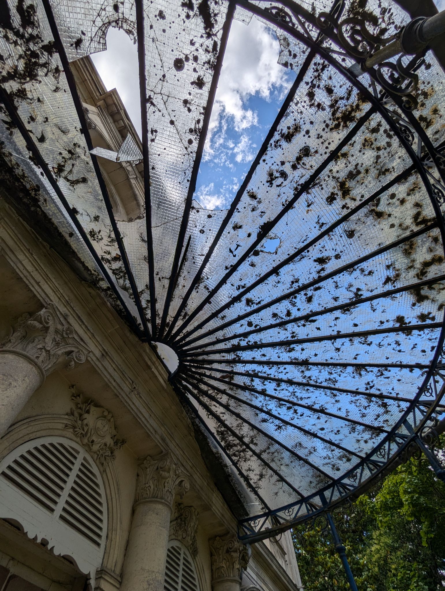 PXL 20240630 124003032