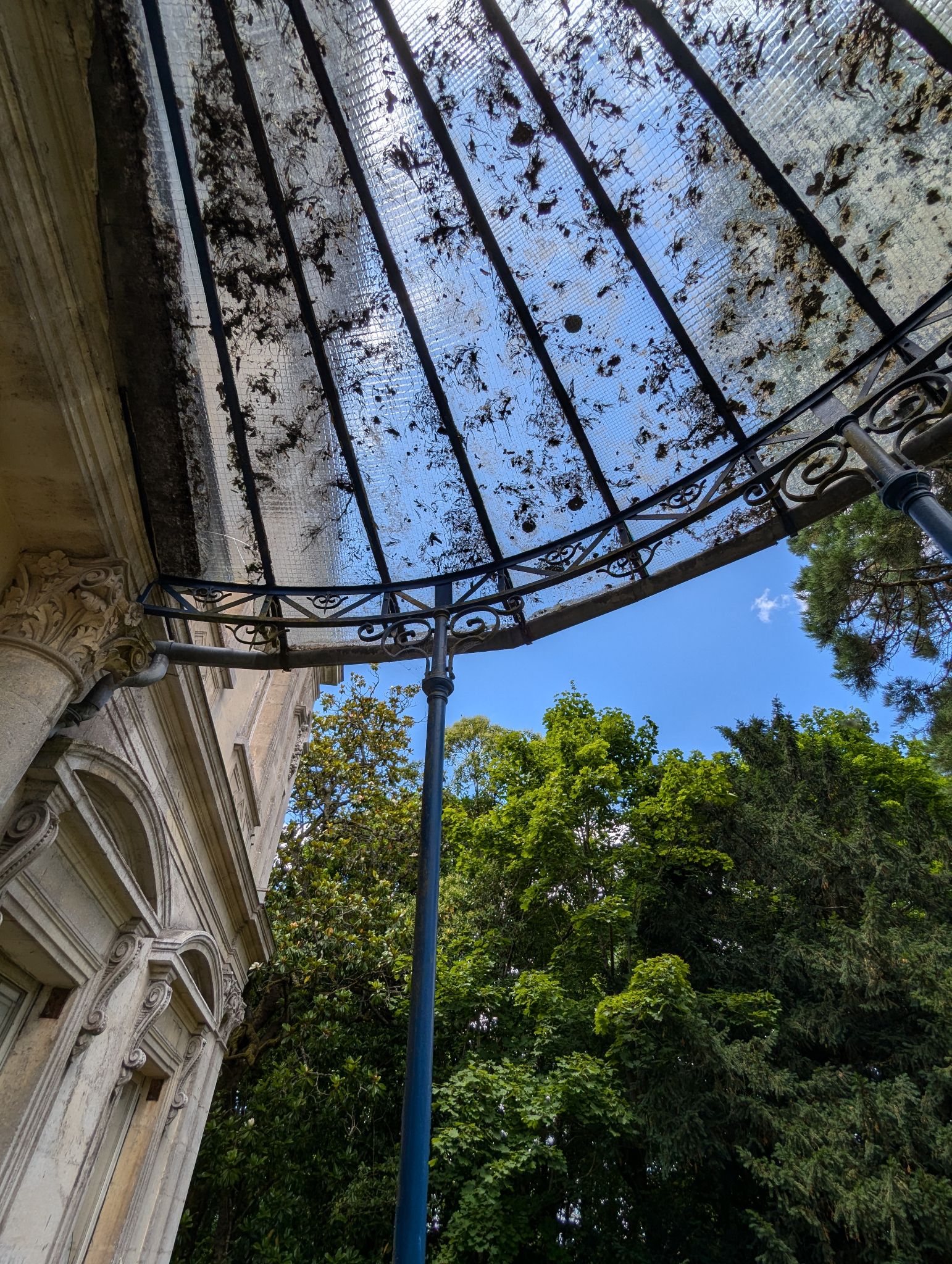 PXL 20240630 124029510