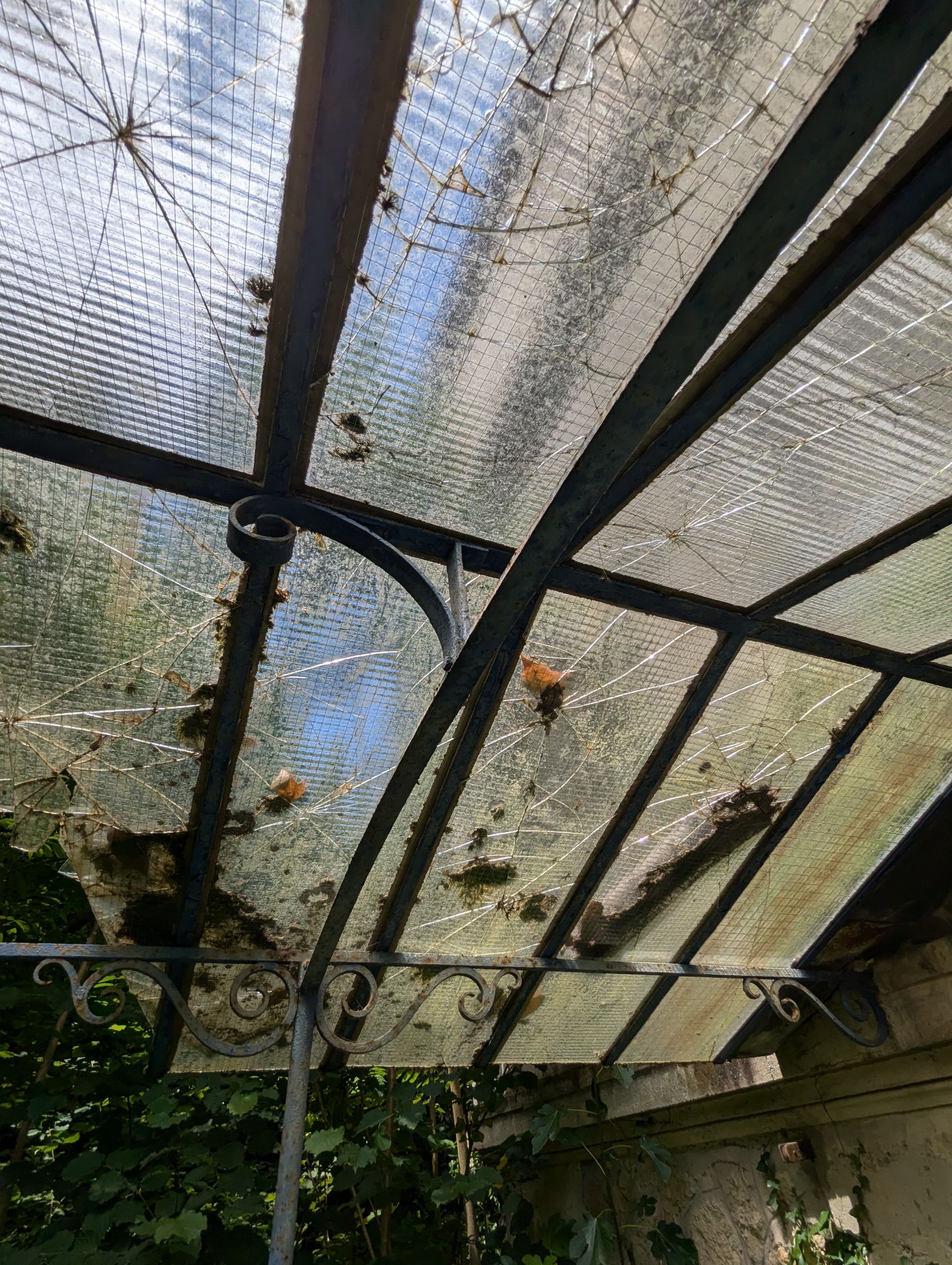 PXL 20240630 124155342