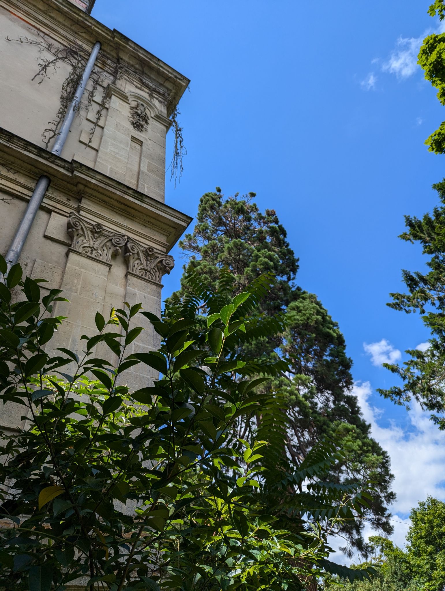 PXL 20240630 131509206