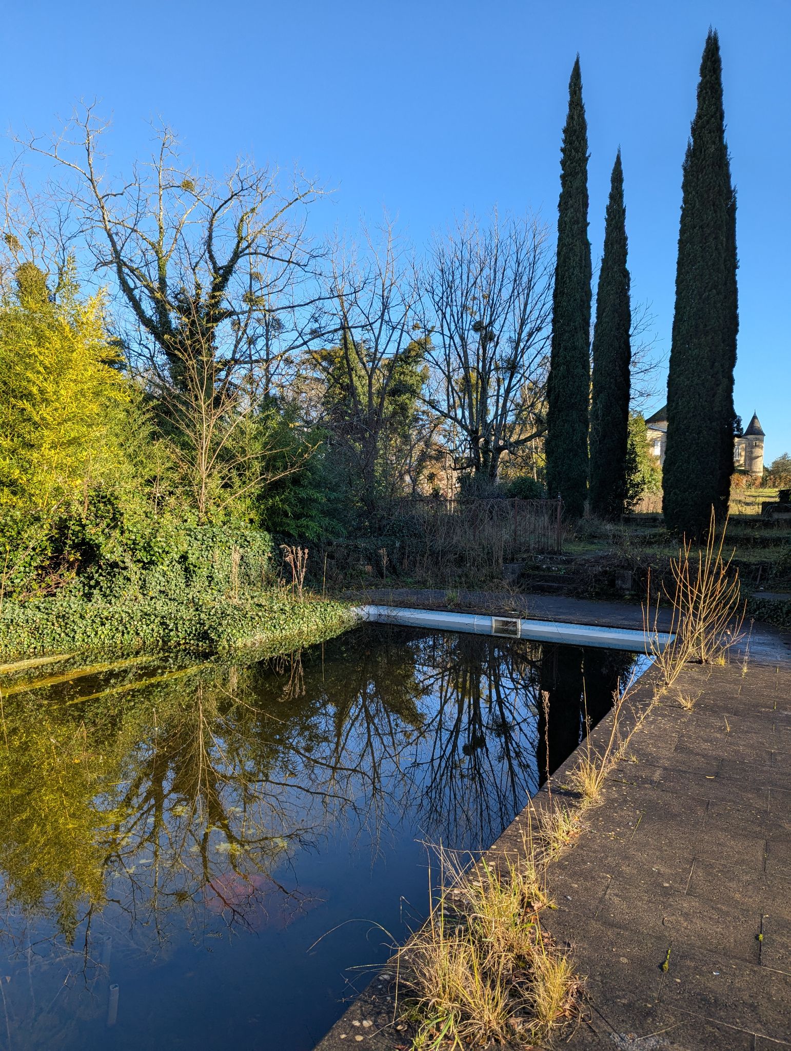 PXL 20241215 140703392