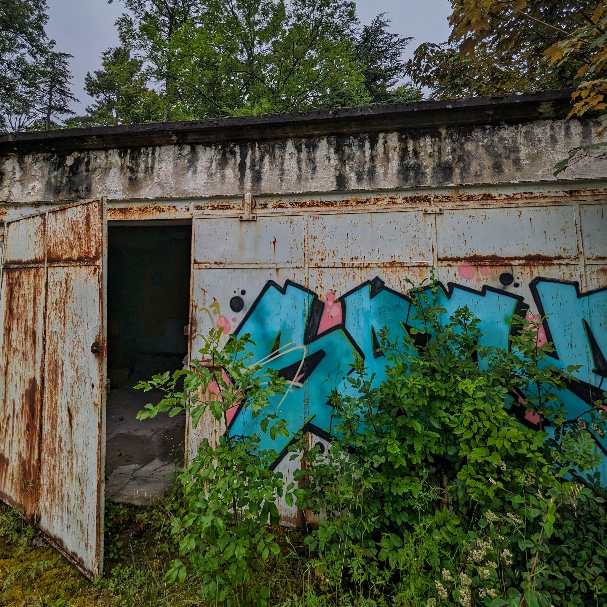 PXL 20240609 092224360