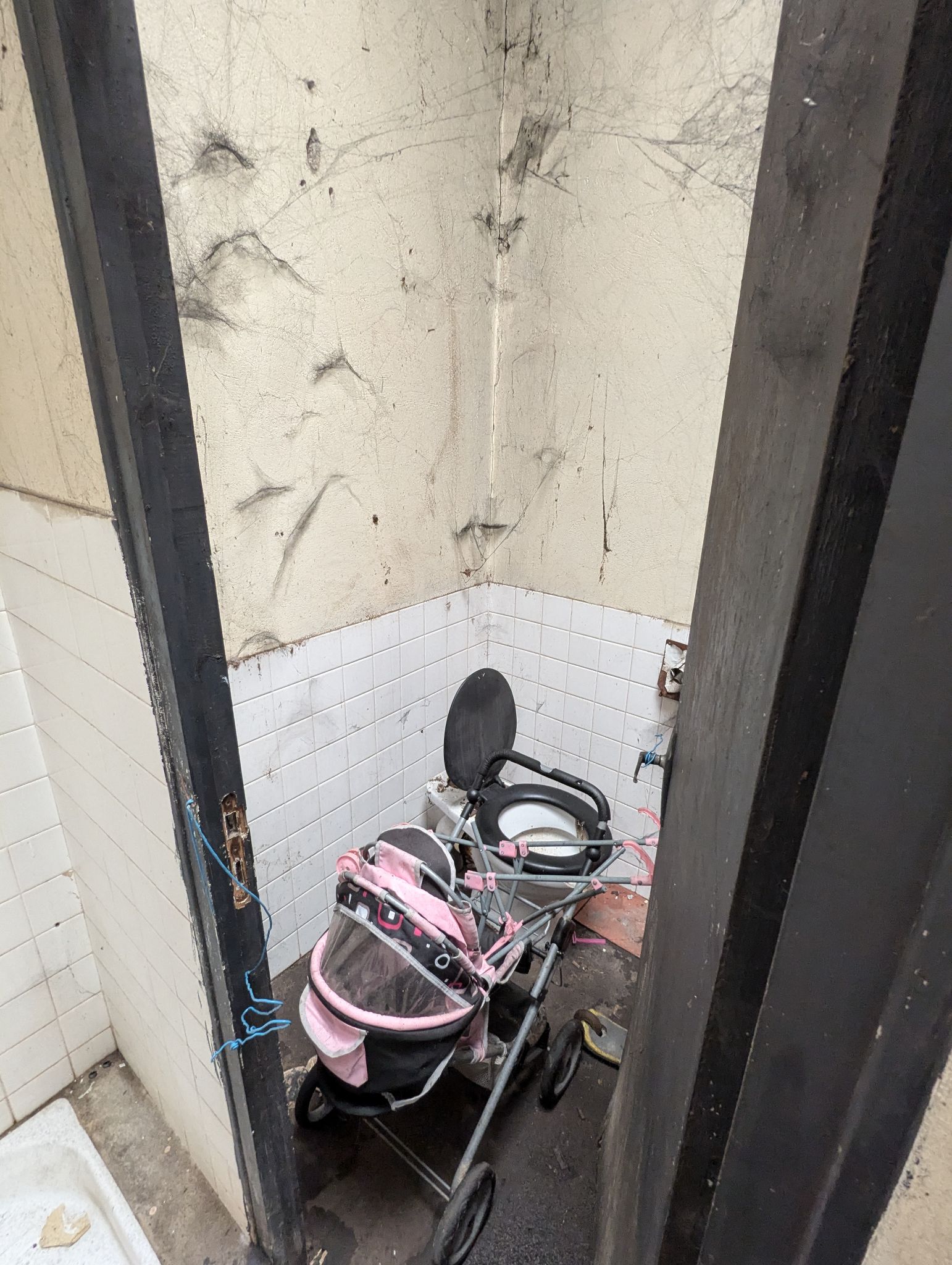 PXL 20240908 131800223