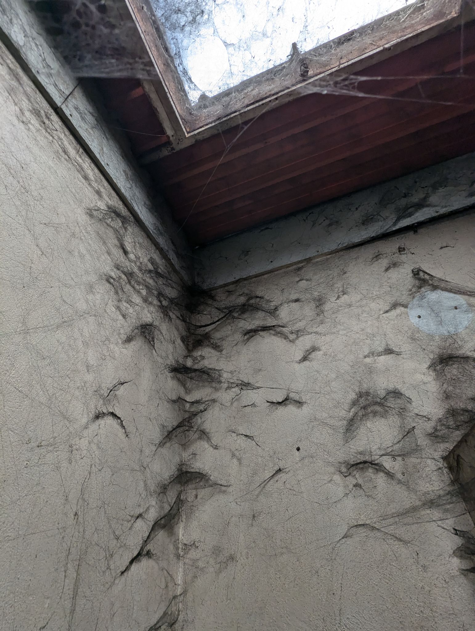 PXL 20240908 131805849