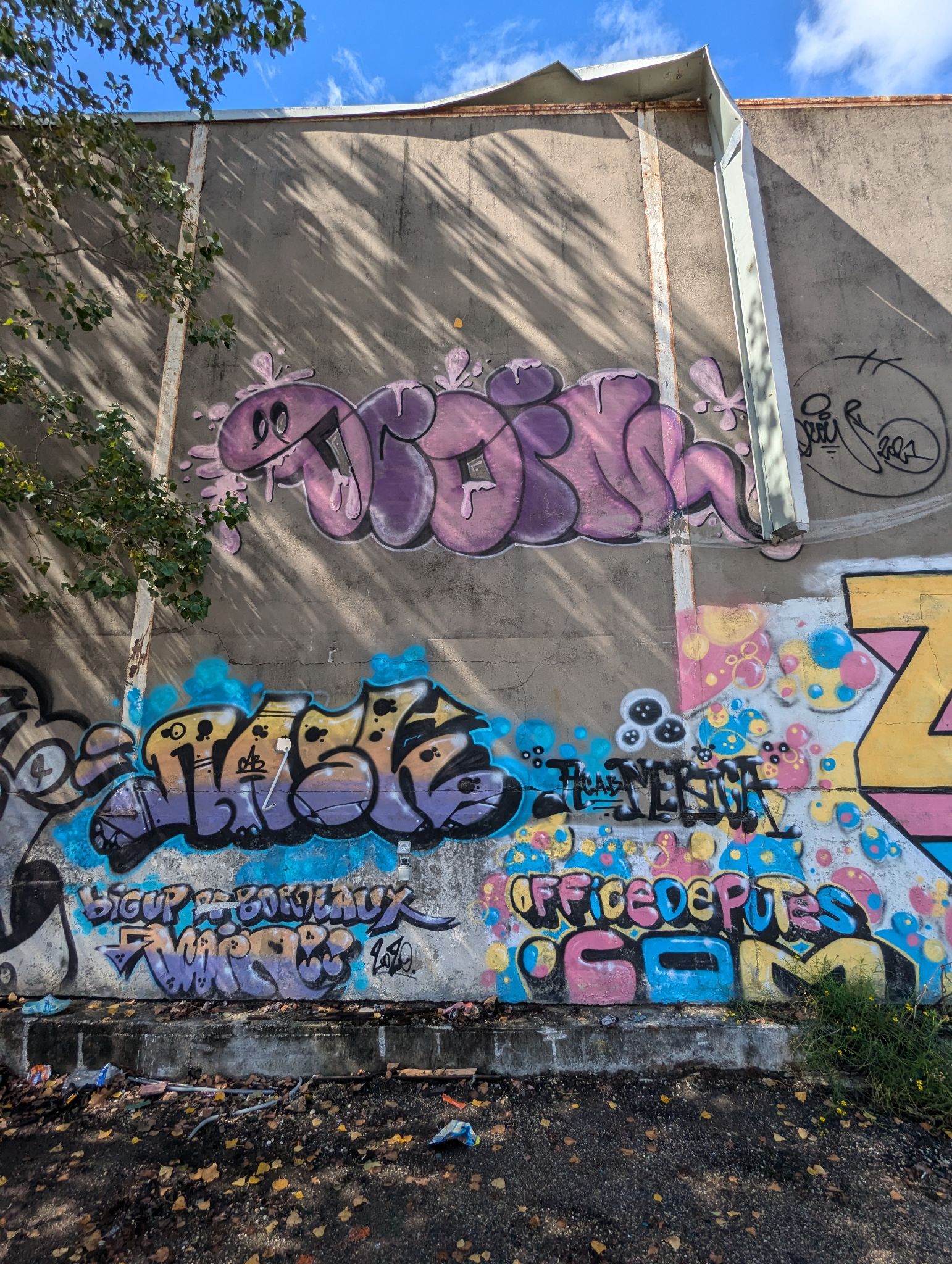 PXL 20240908 131949210