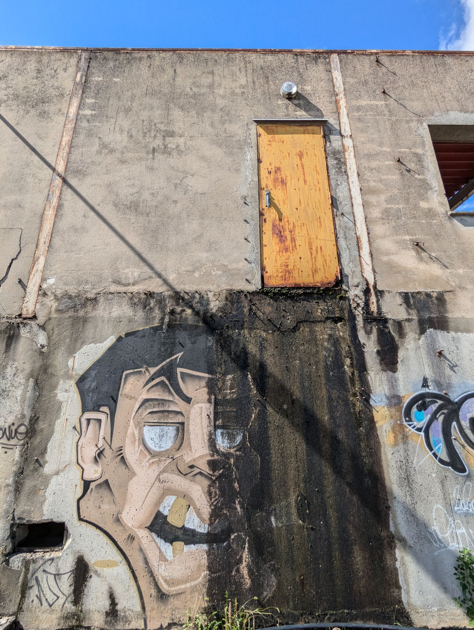 PXL 20240908 132007188