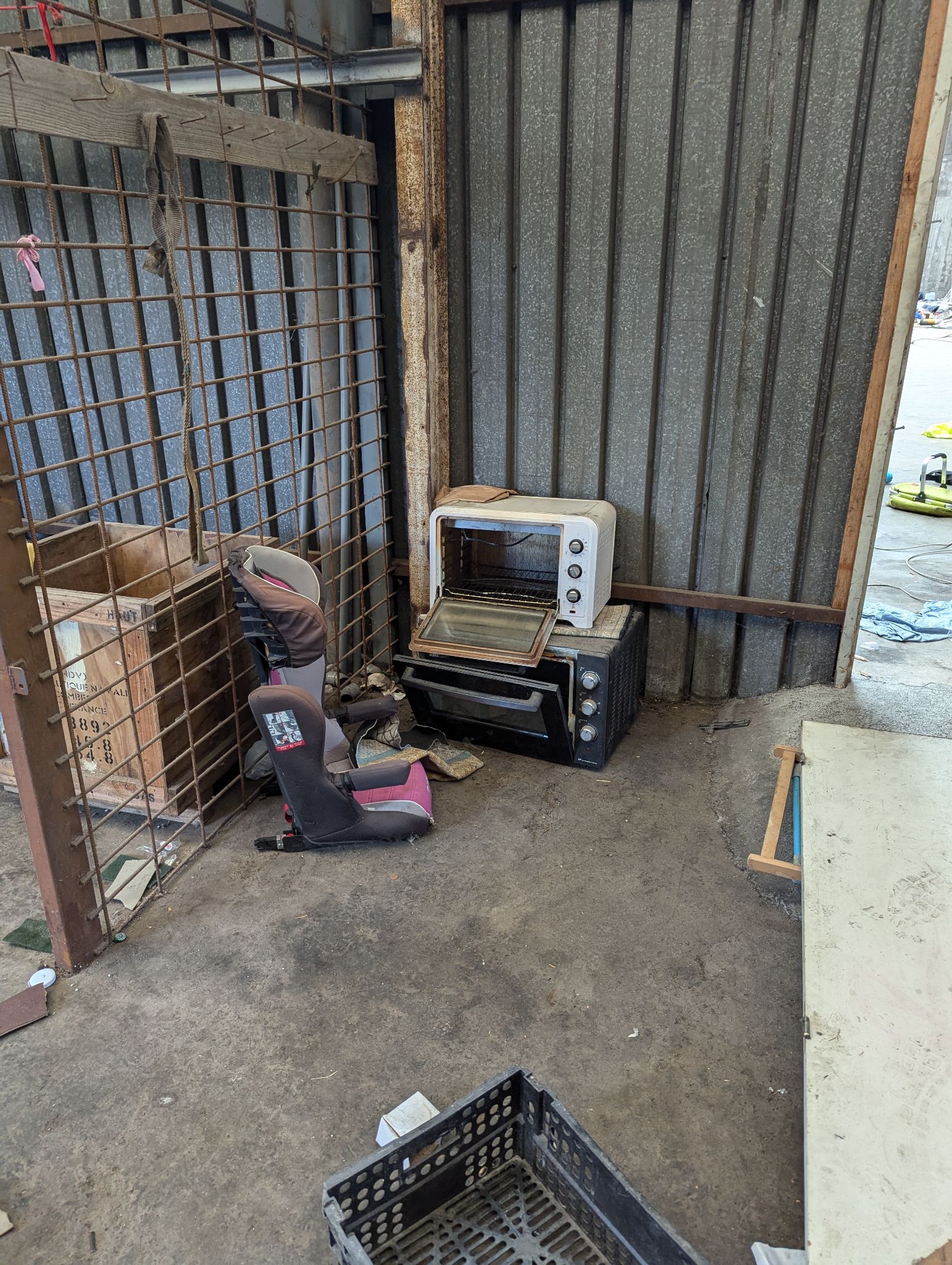 PXL 20240908 132506701