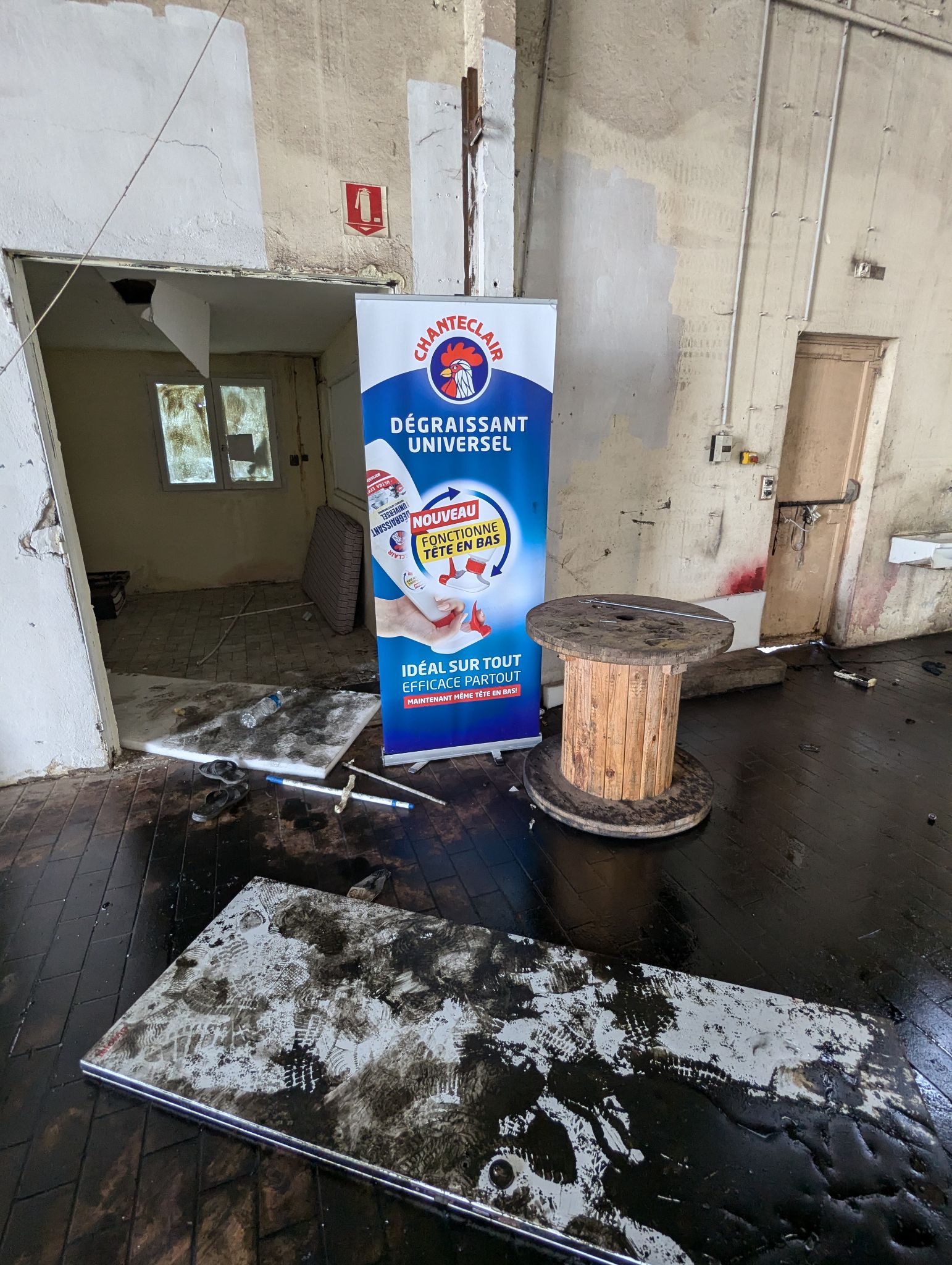 PXL 20240908 132744837