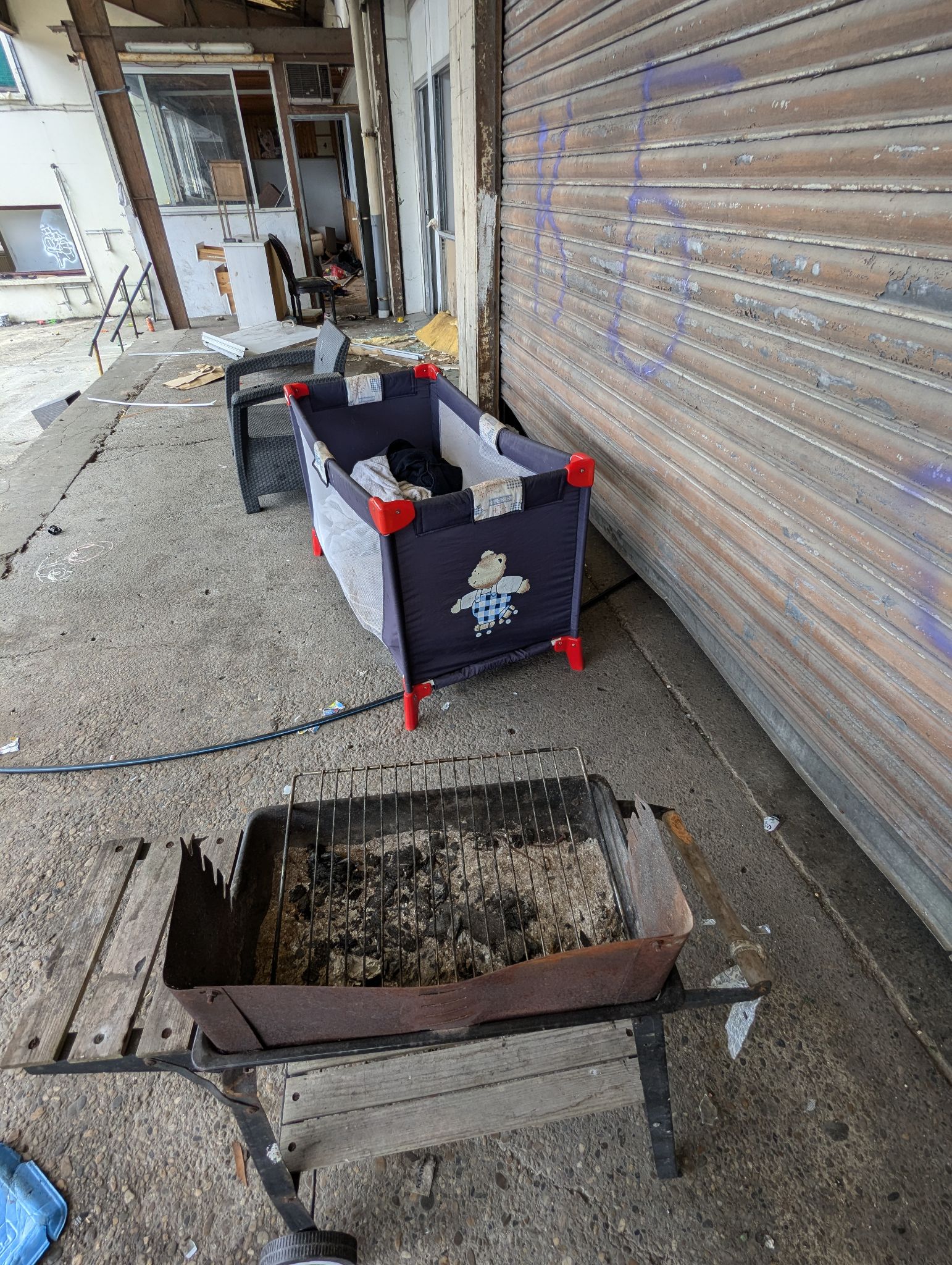 PXL 20240908 134126549