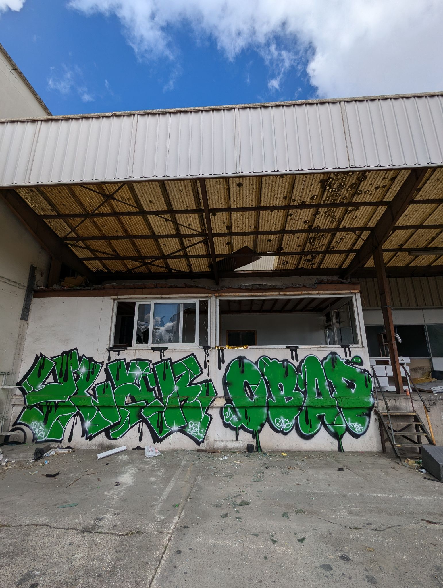 PXL 20240908 134245553