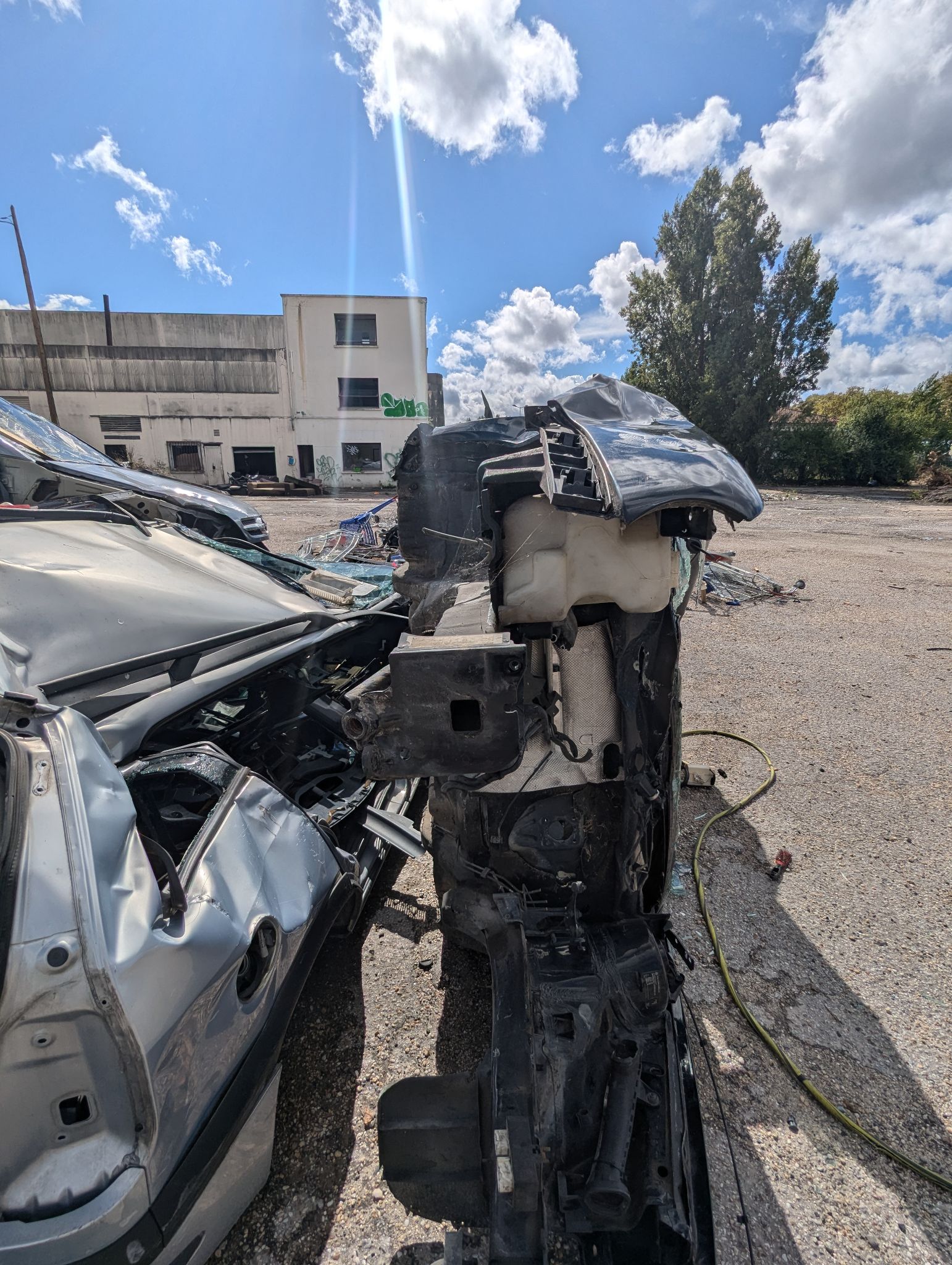 PXL 20240908 134914049