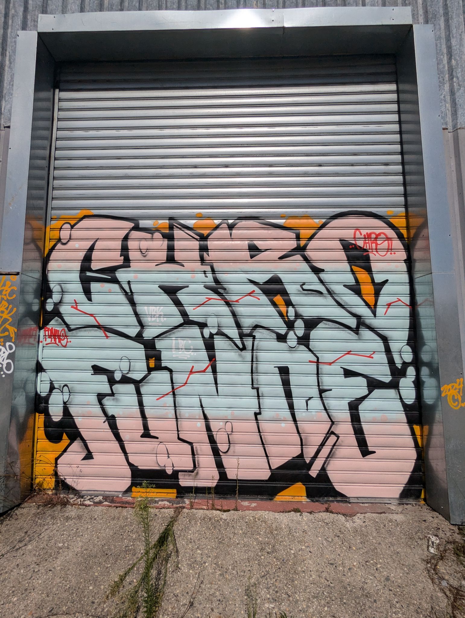 PXL 20240908 135300953