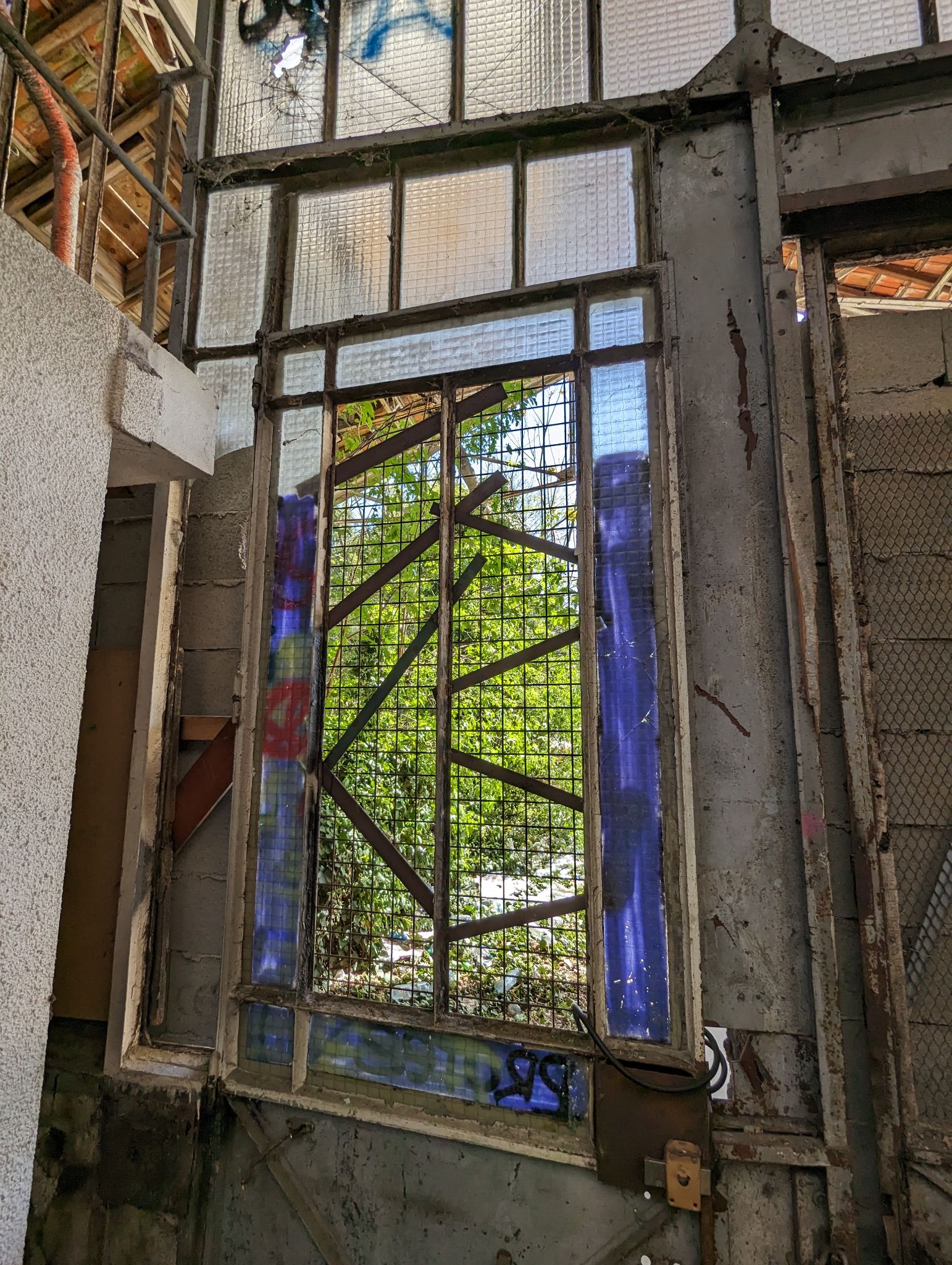 PXL 20240408 111543126