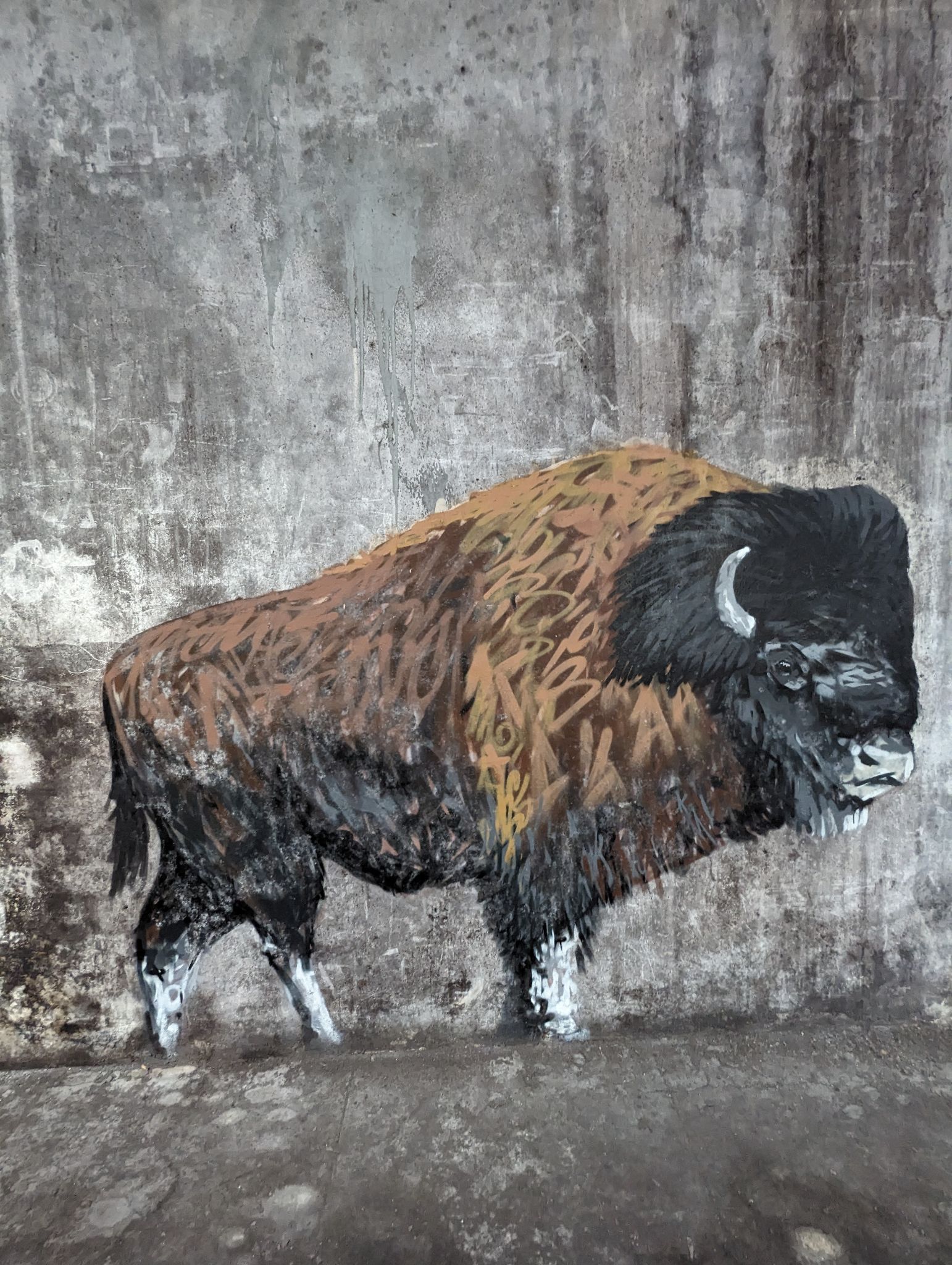 PXL 20240408 111736074