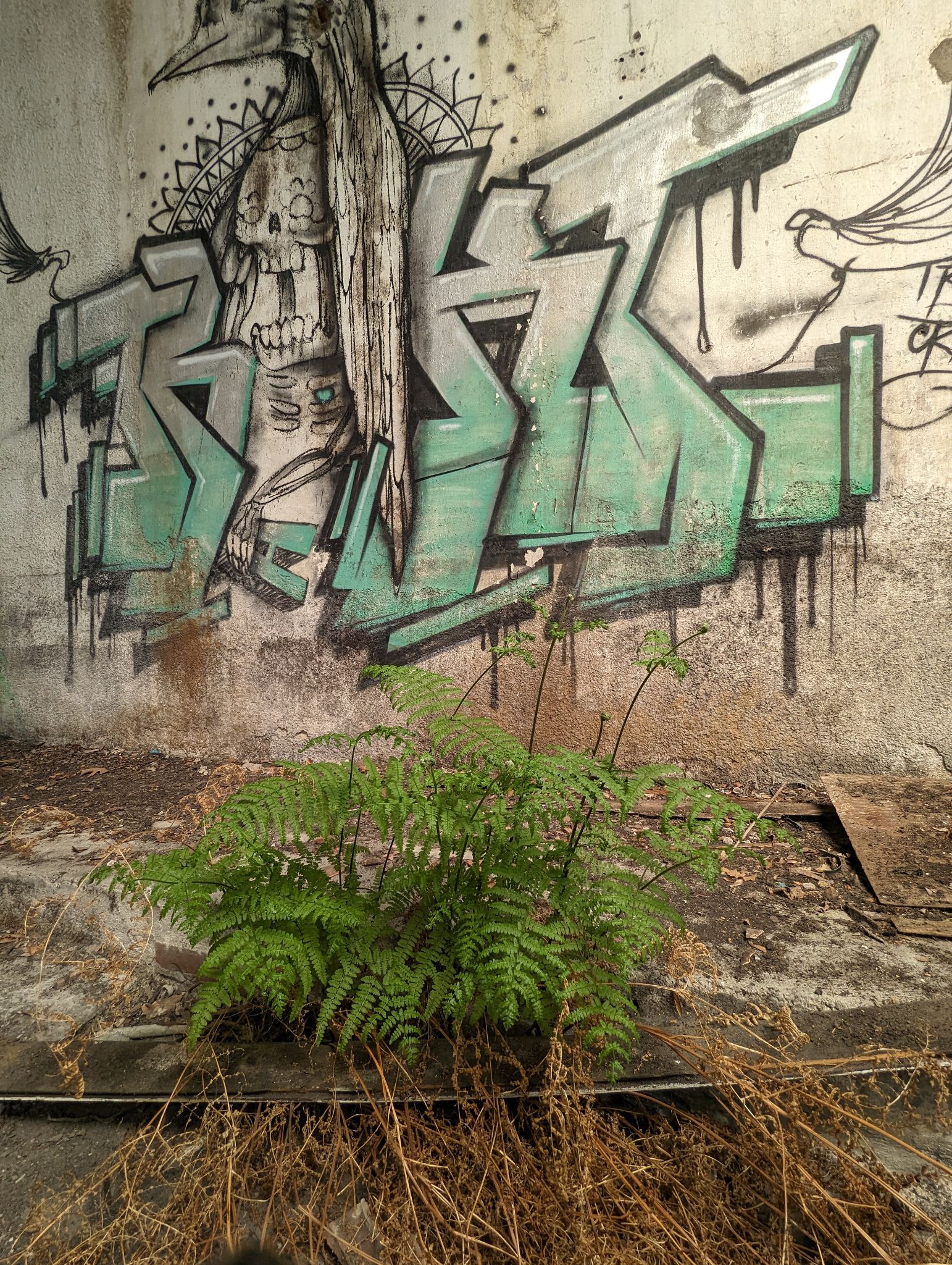 PXL 20240408 112047443