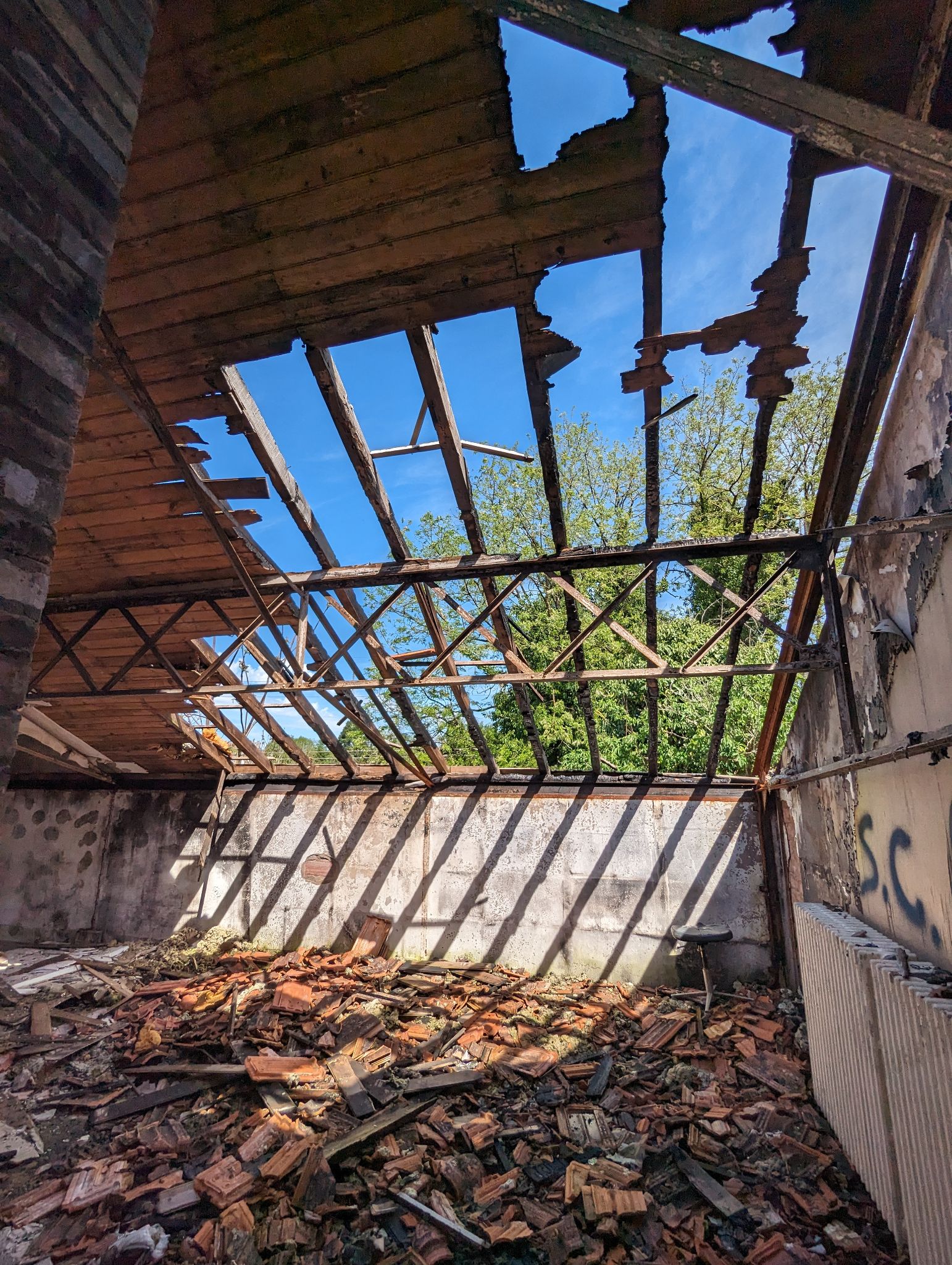 PXL 20240408 113945025