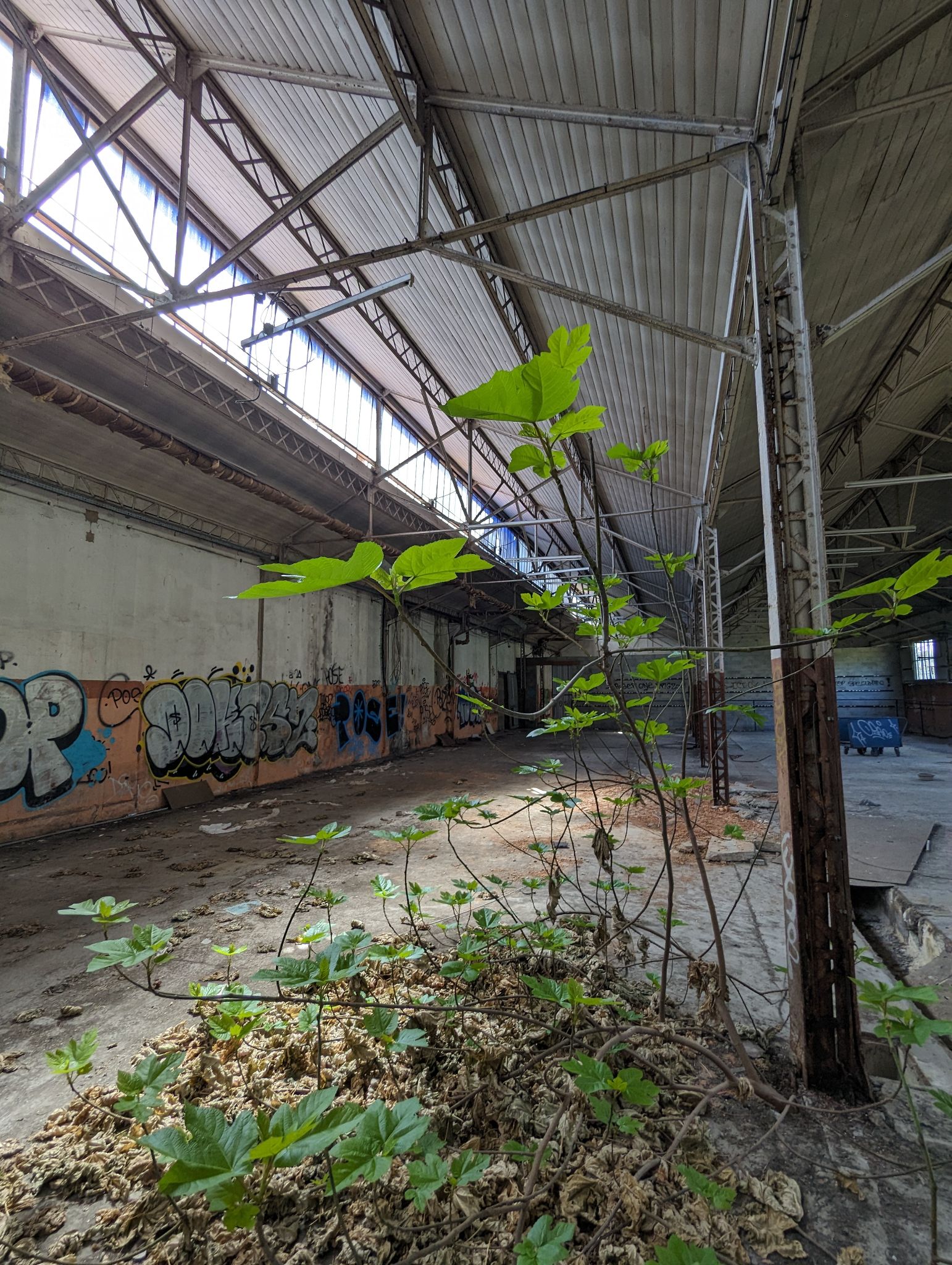 PXL 20240408 114203748