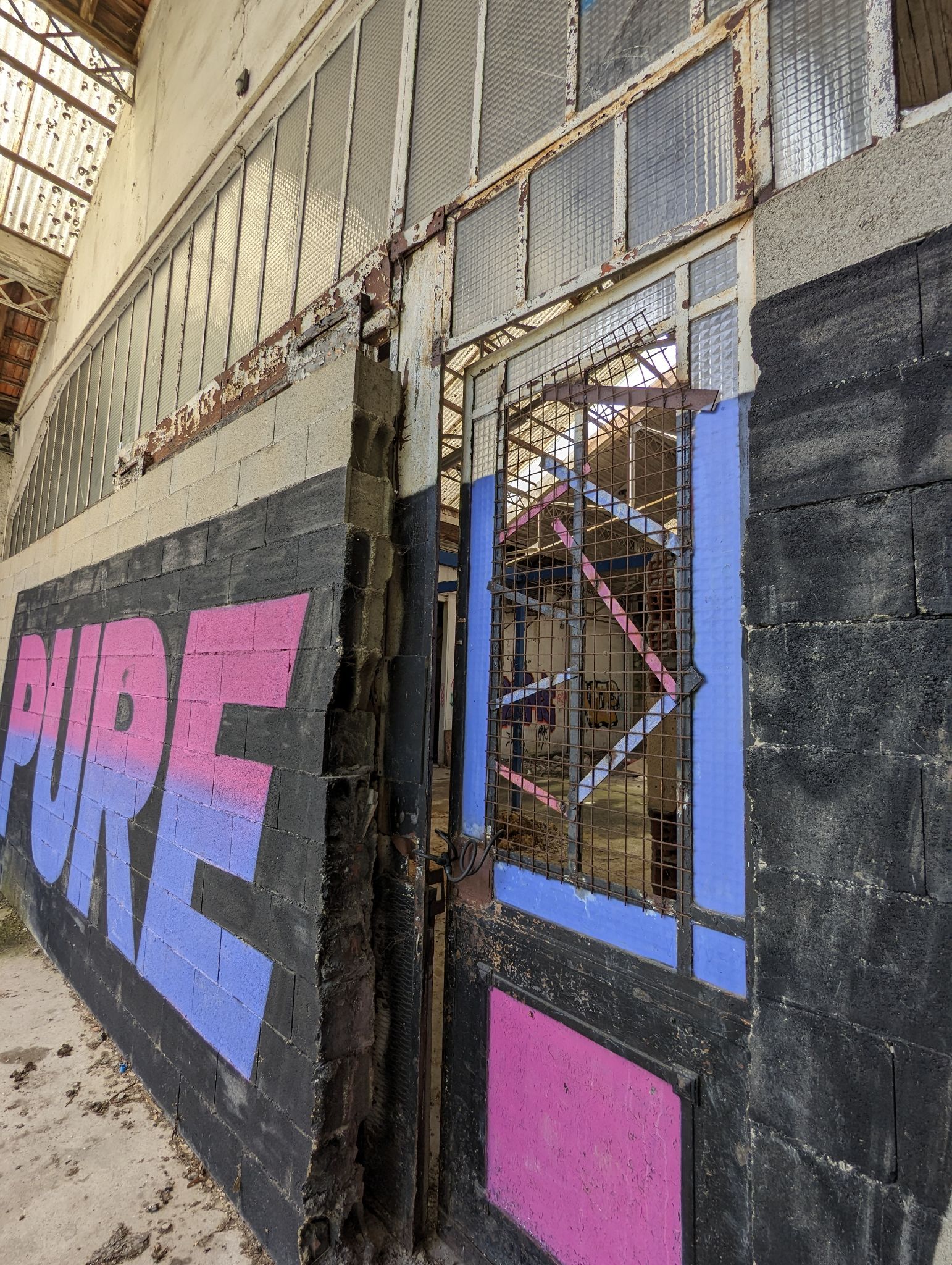 PXL 20240408 114606658