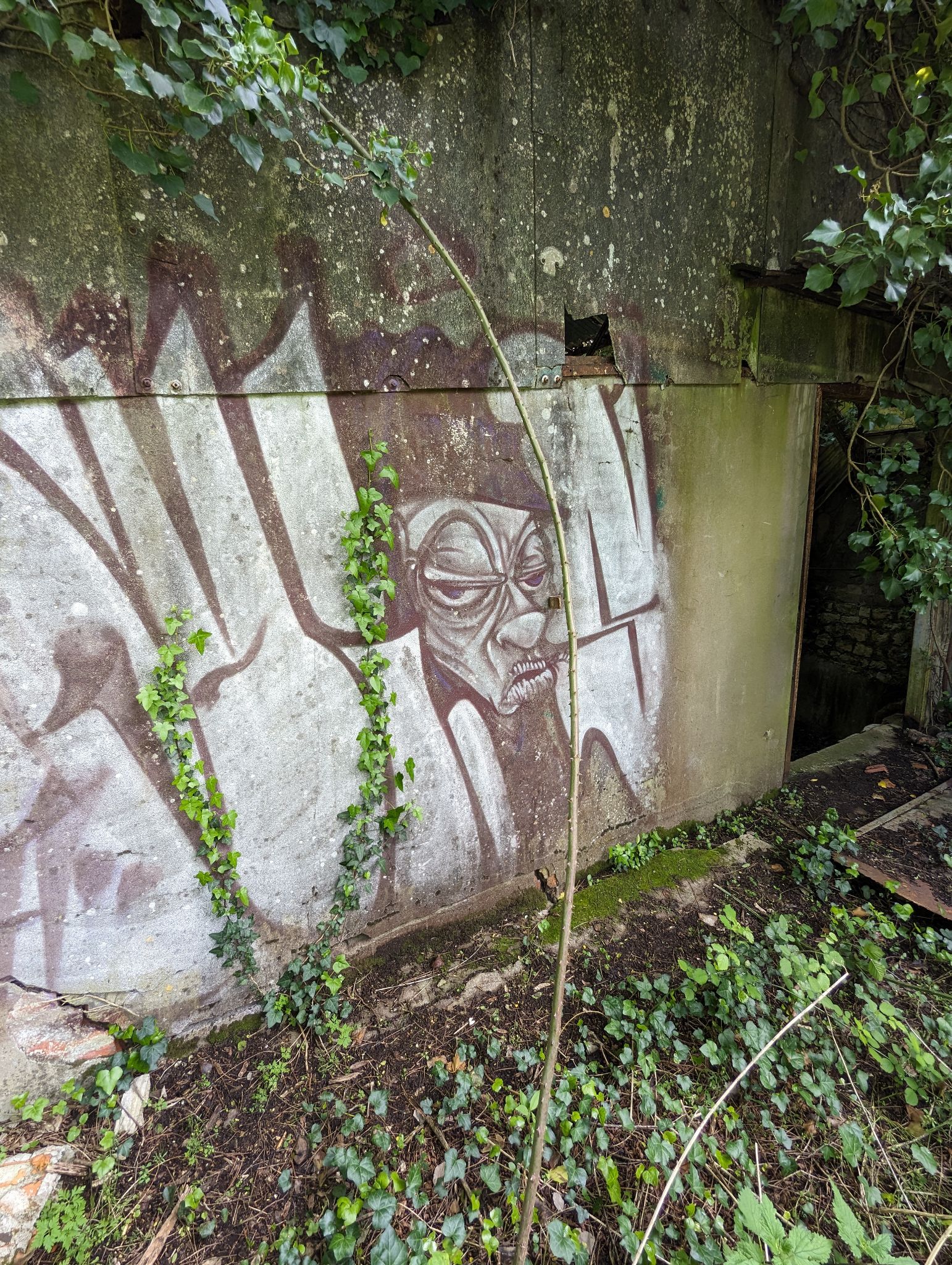 PXL 20240408 114934720