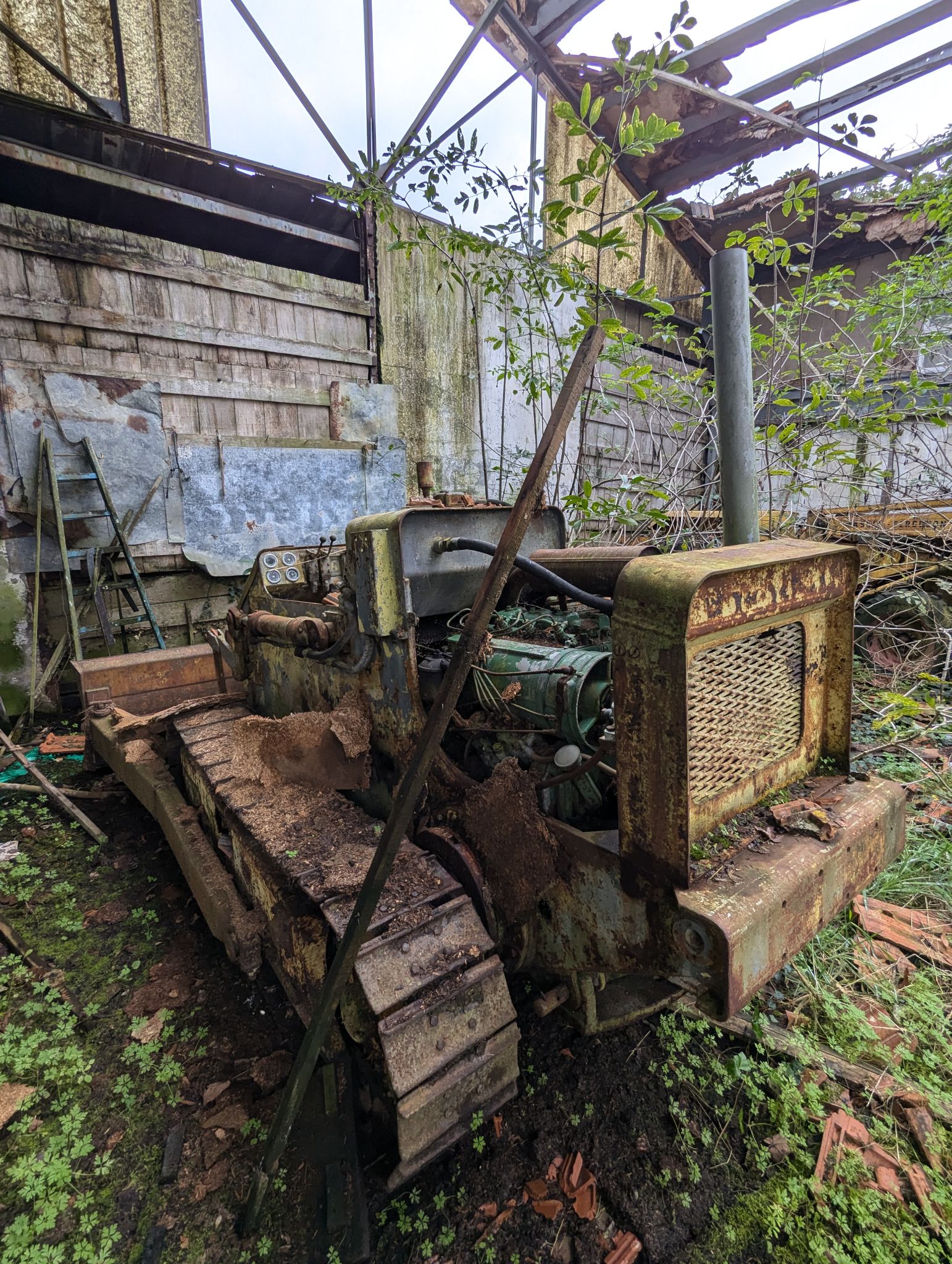 PXL 20241027 135800392