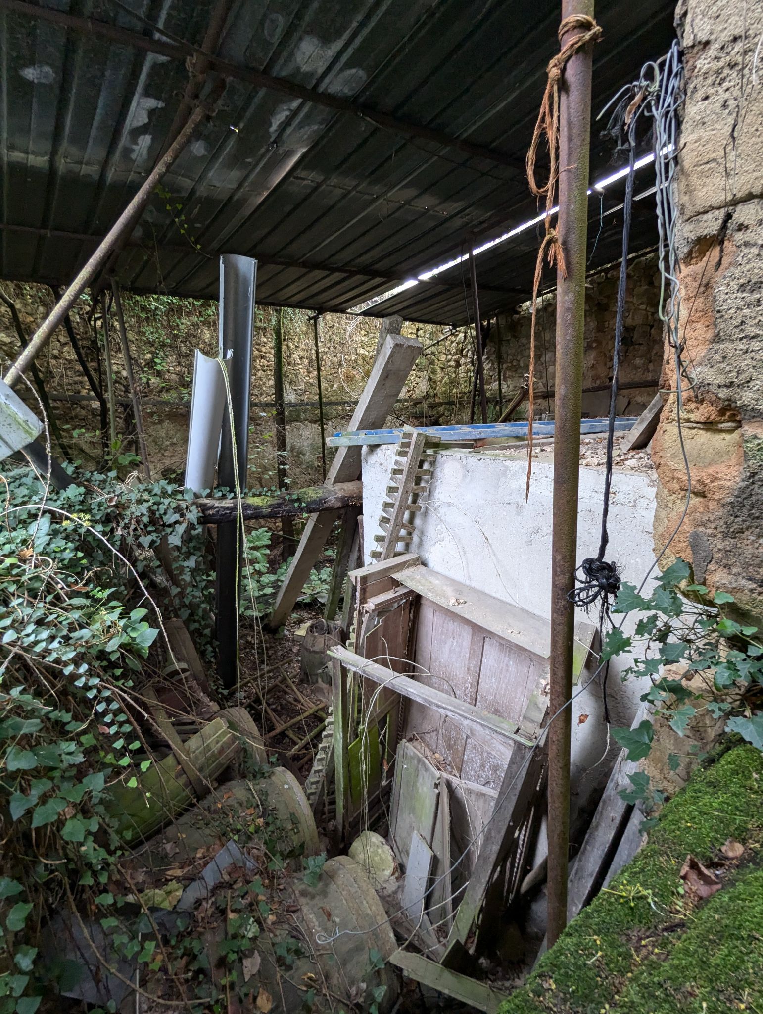 PXL 20241027 140131283