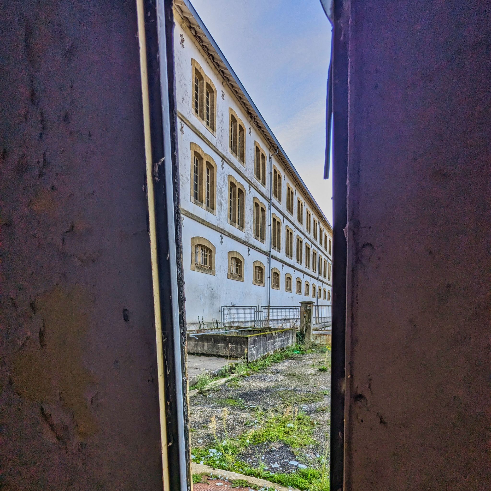 PXL 20241020 084200159