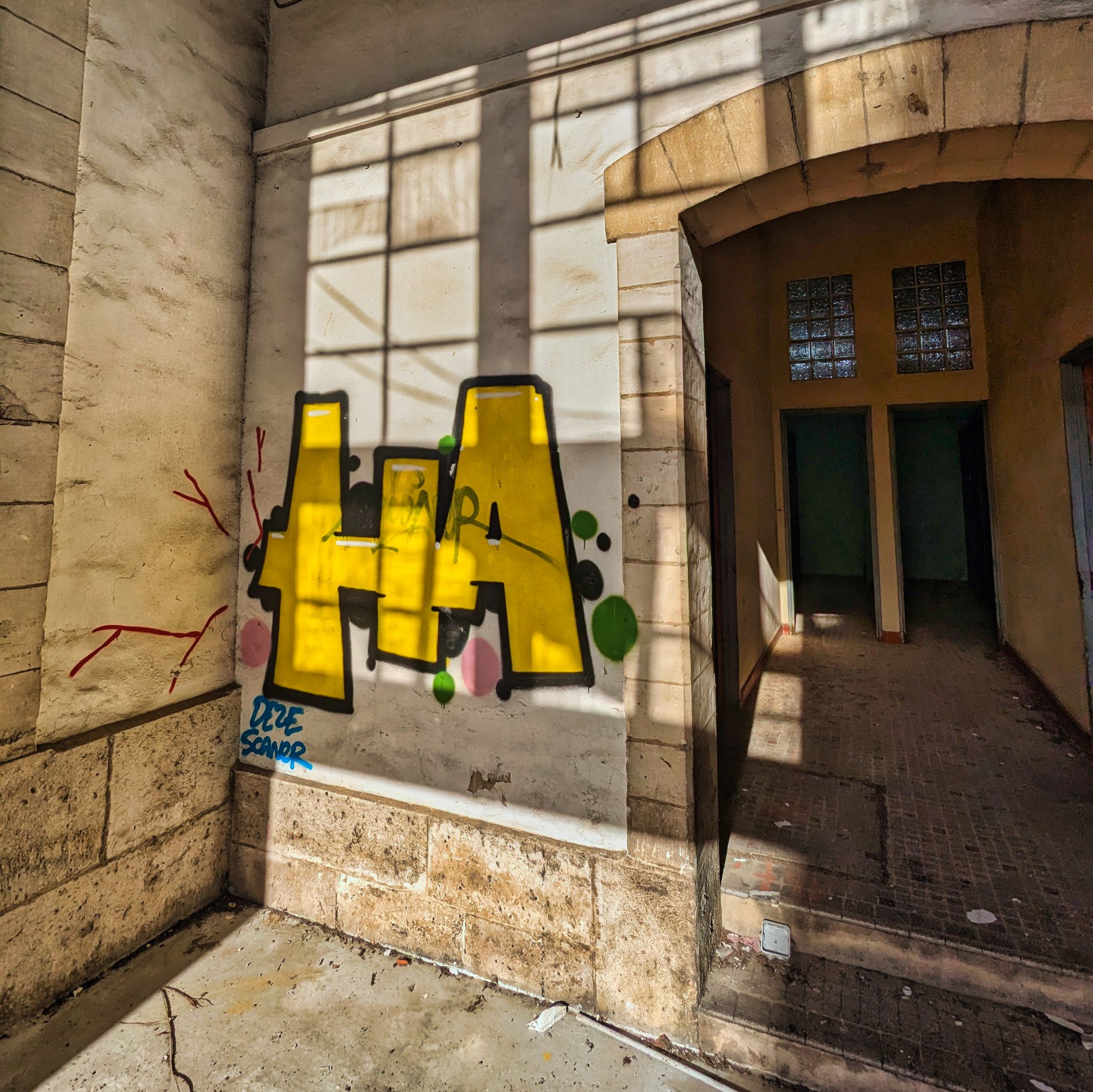 PXL 20241020 084254132.MP