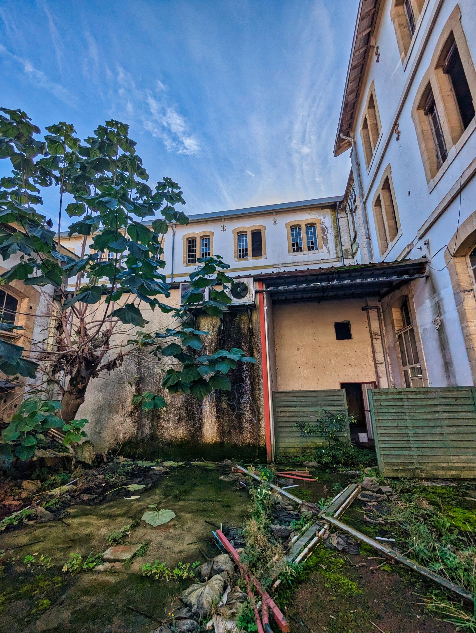 PXL 20241020 085054309