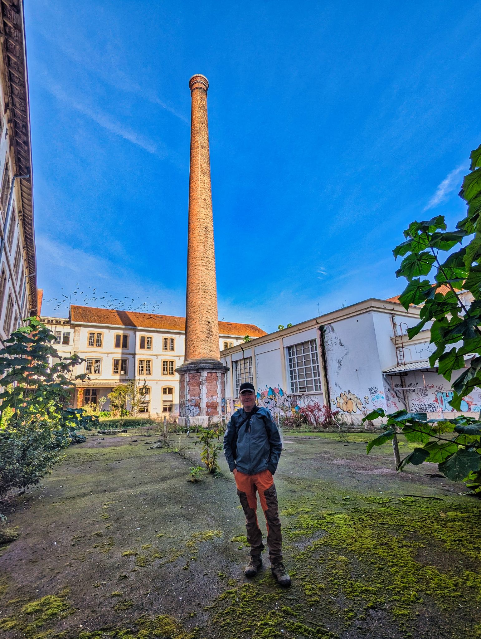 PXL 20241020 085434255