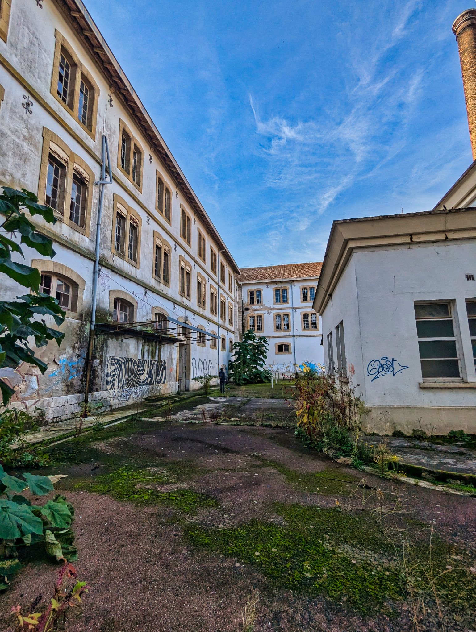 PXL 20241020 085853840