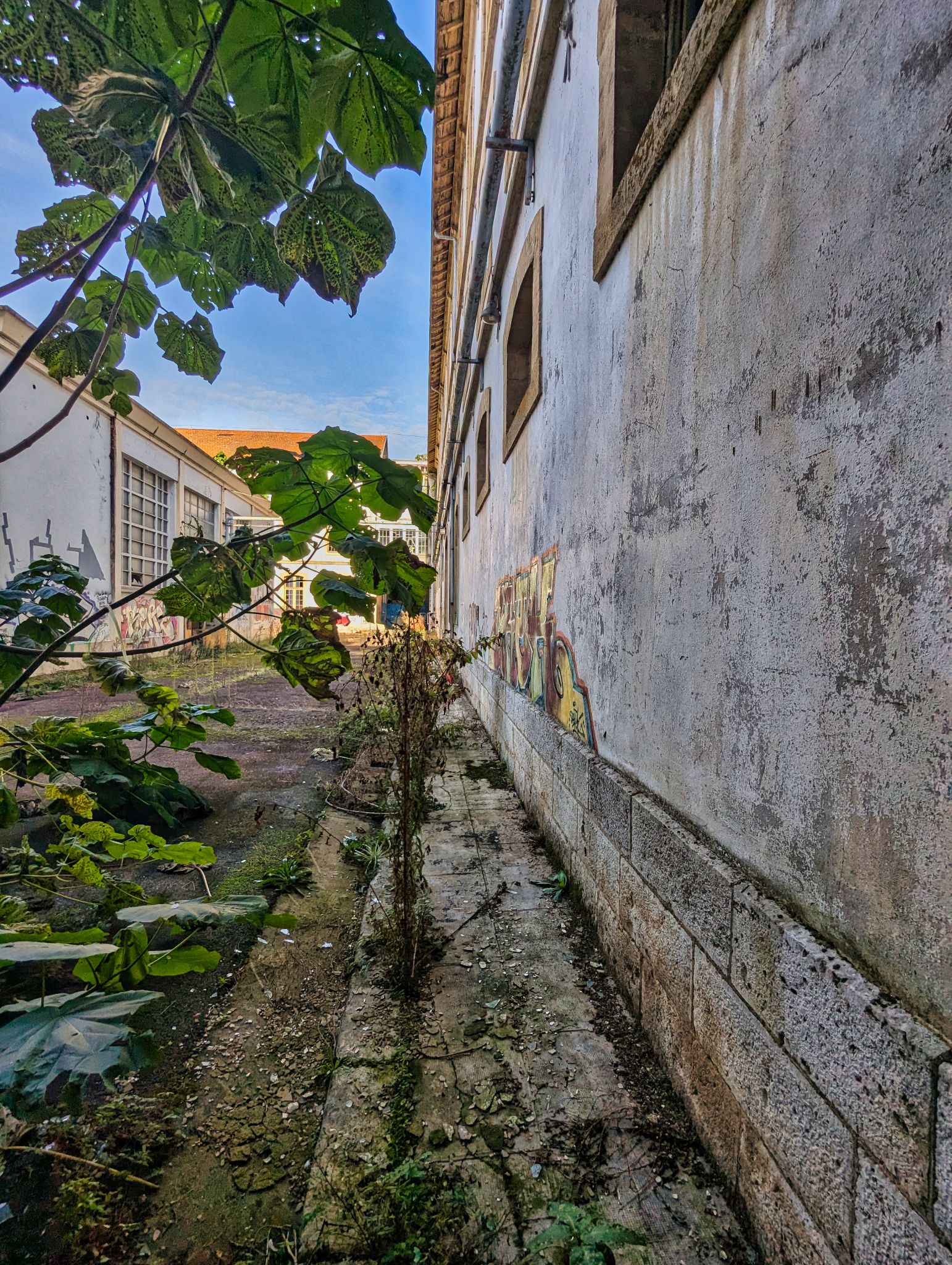 PXL 20241020 090109305