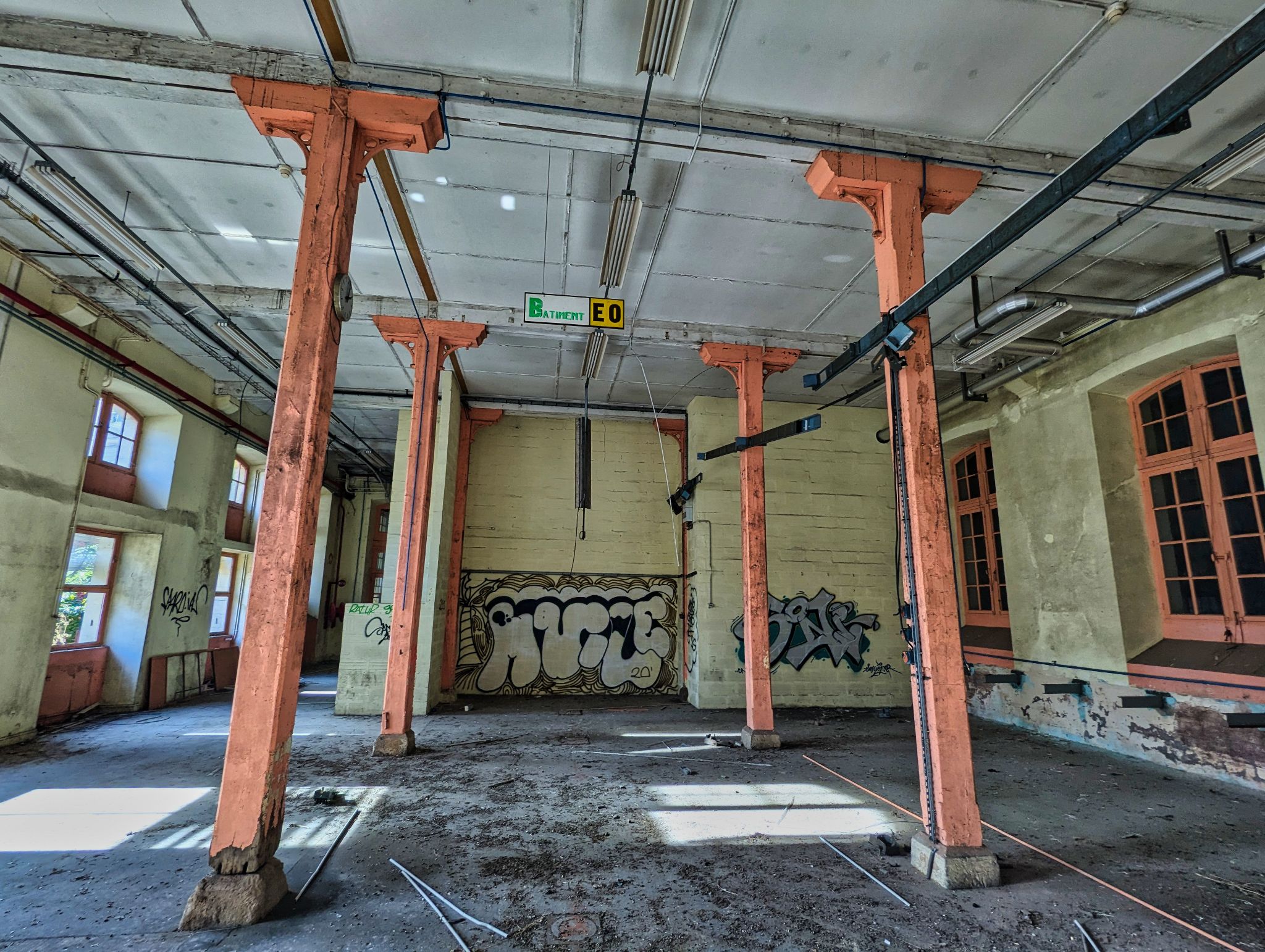 PXL 20241020 091353902