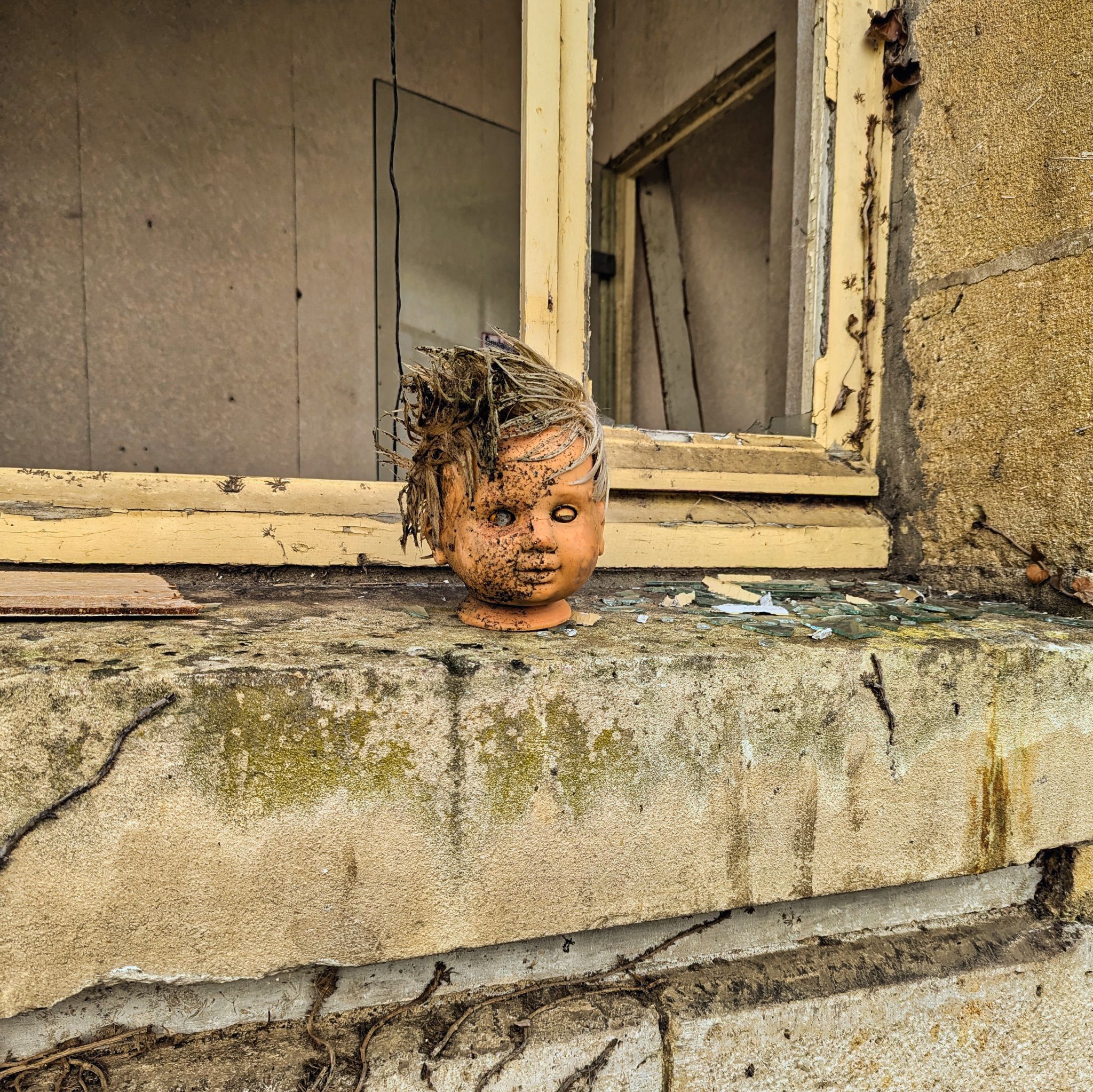 PXL 20241020 092355126