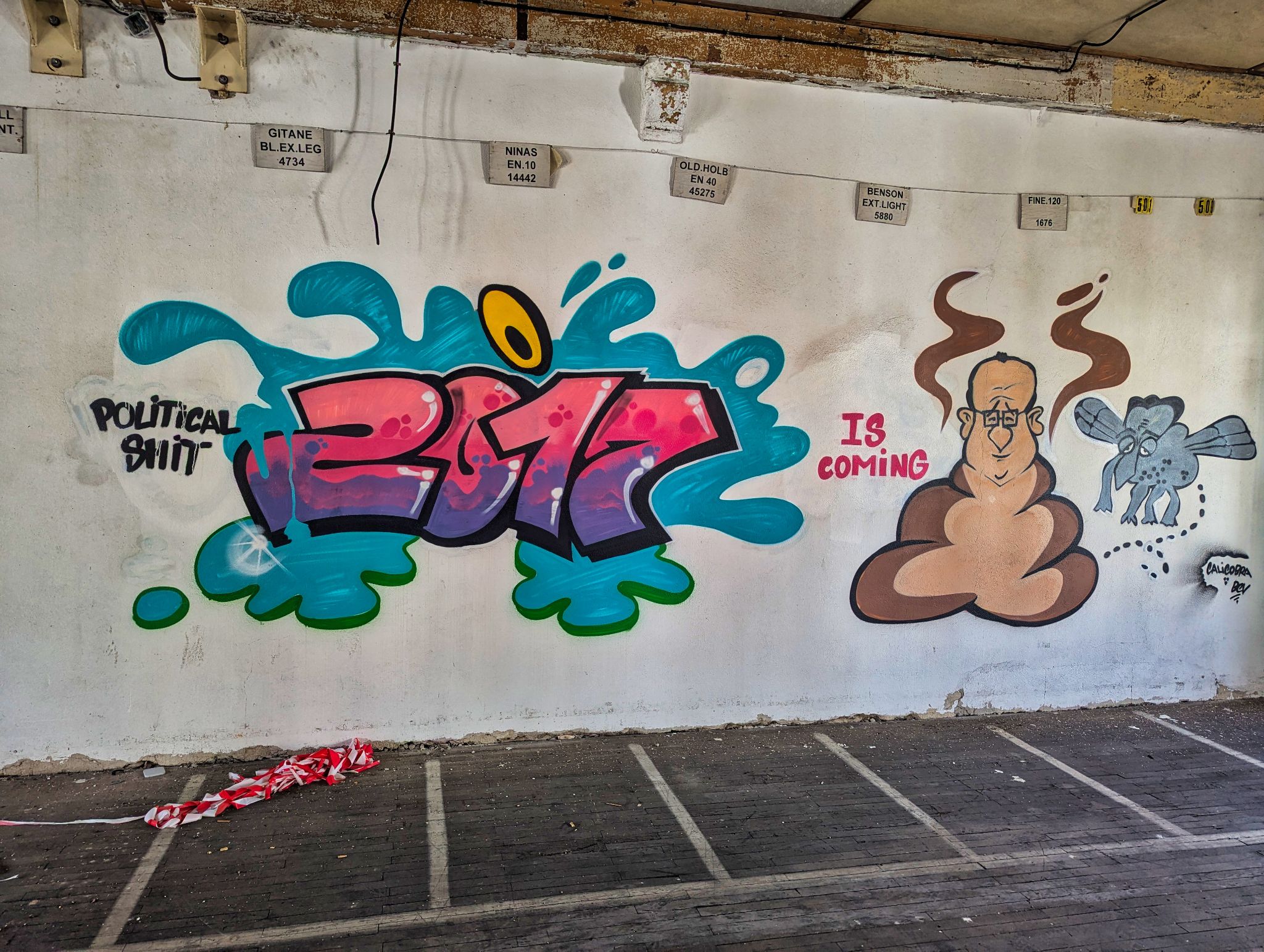 PXL 20241020 093103765