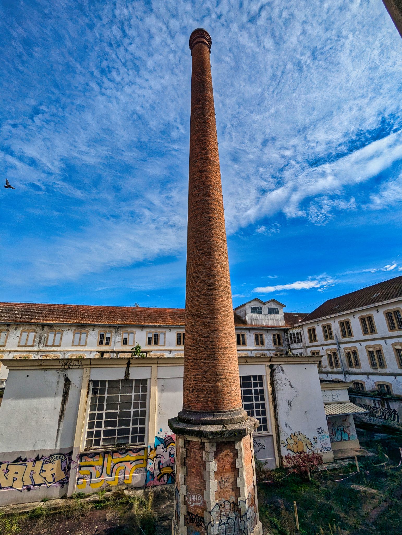 PXL 20241020 093130729