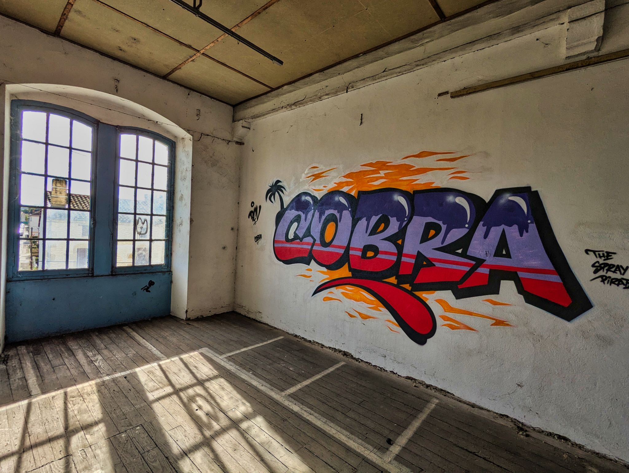 PXL 20241020 093543844