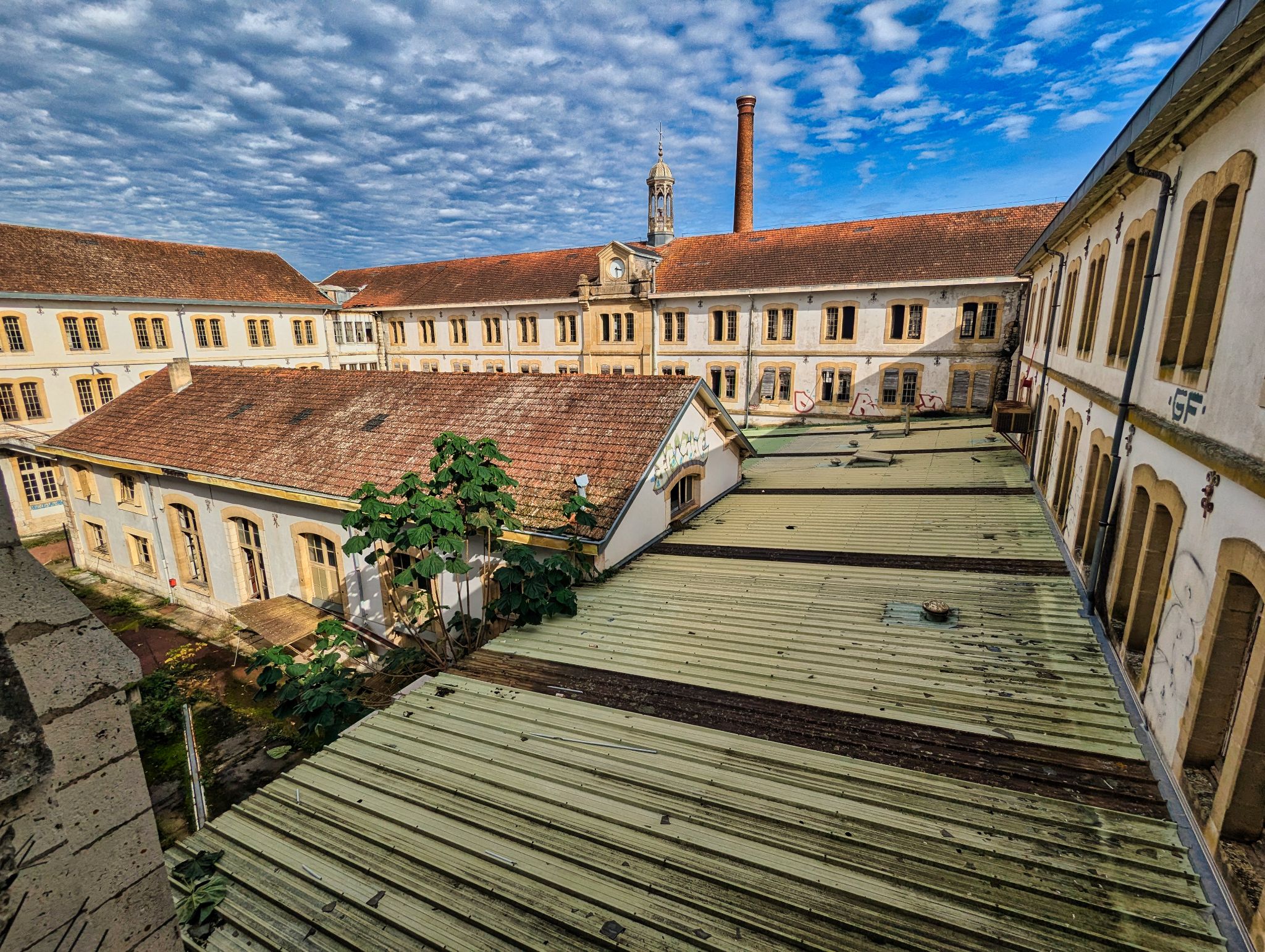 PXL 20241020 104325466